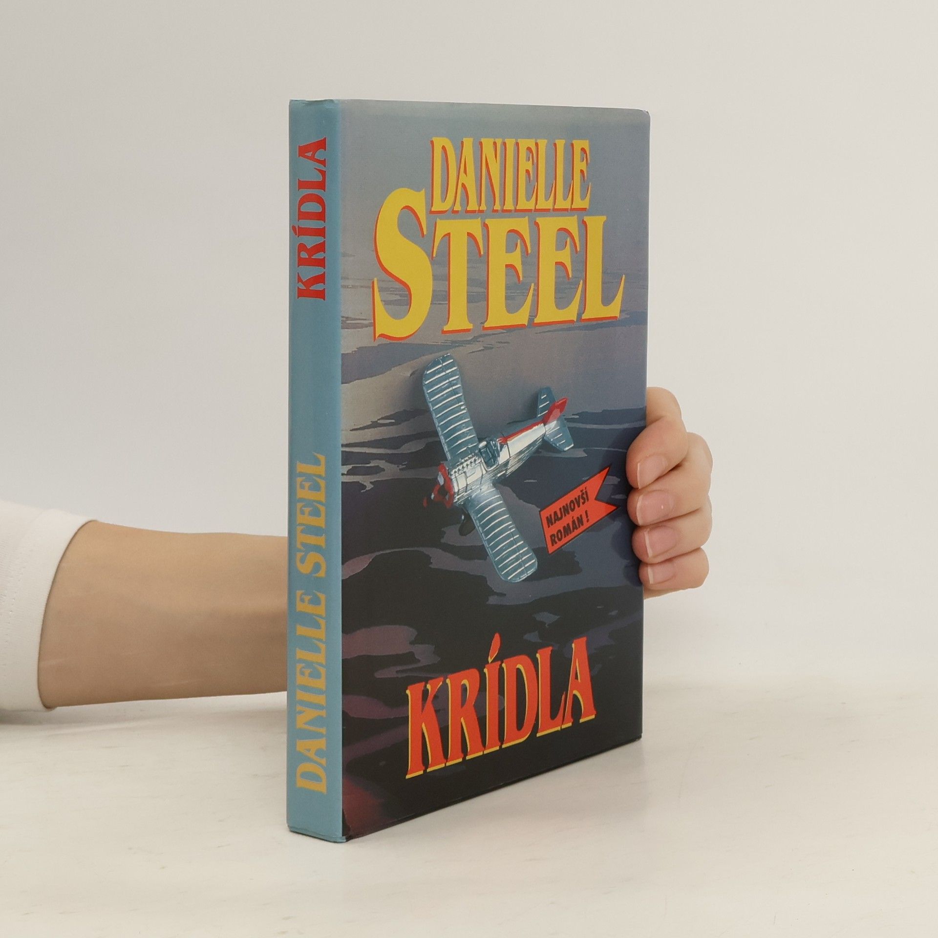Danielle Steel Krídla