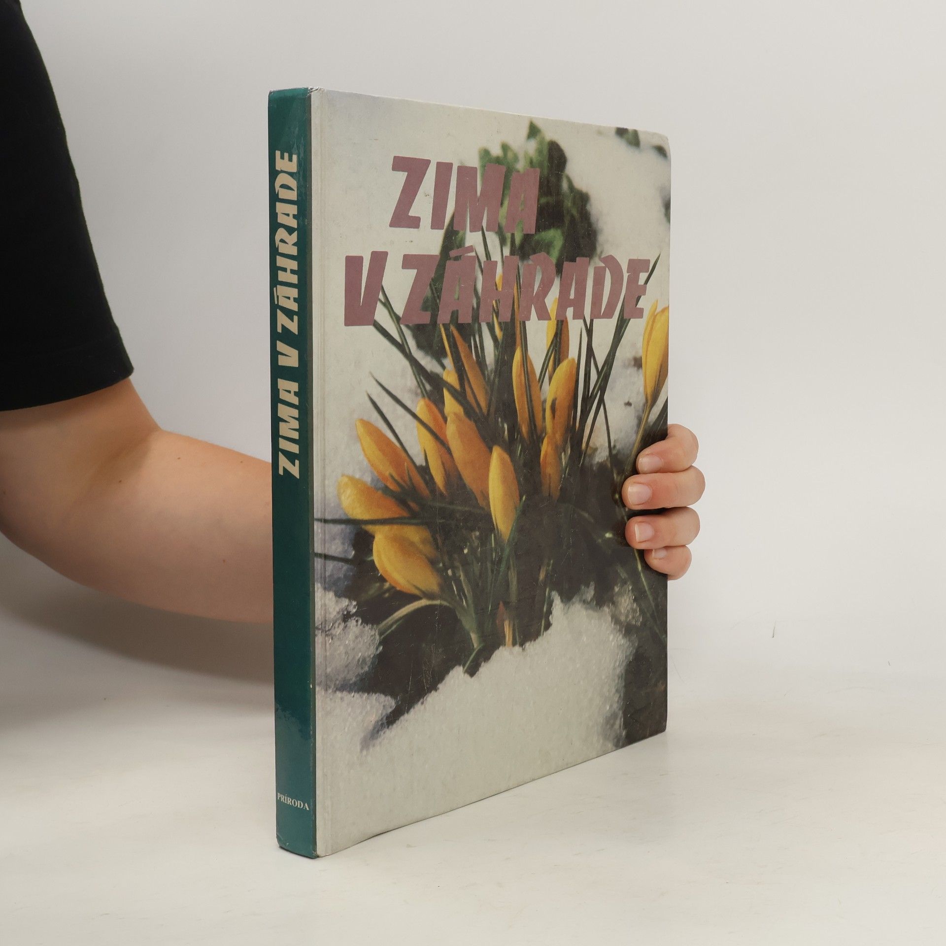 Dora Sopčáková Zima v záhrade