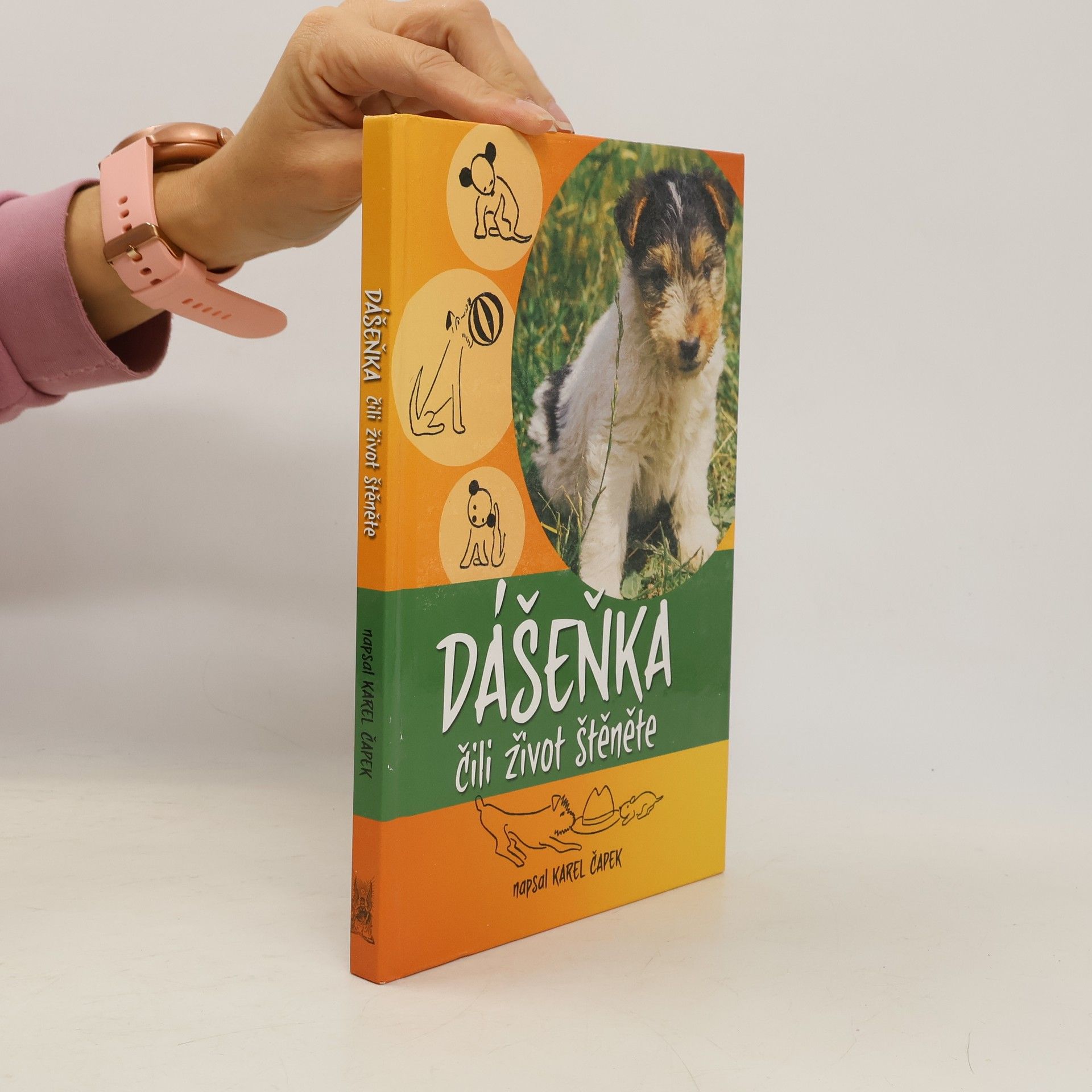 Dášenka čili život štěněte