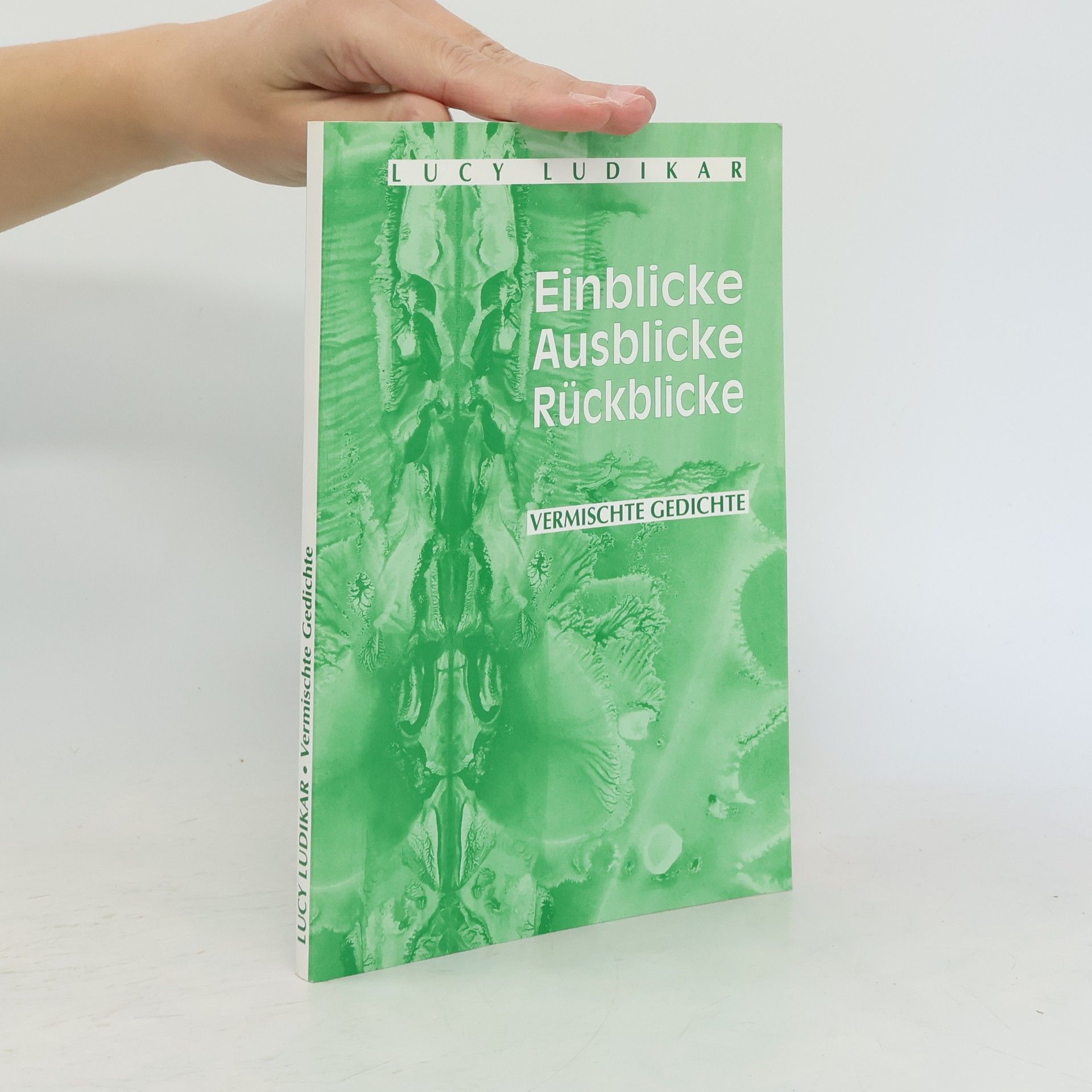 Lucy Ludikar Einblicke Ausblicke Ruckblicke