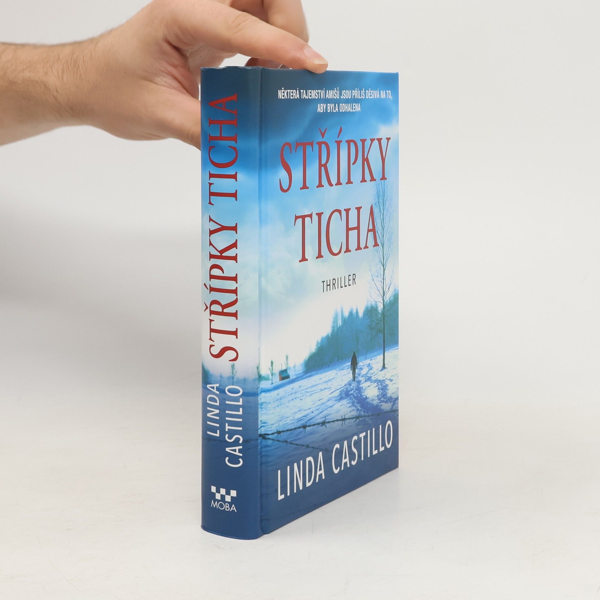 Linda Castillo Střípky ticha