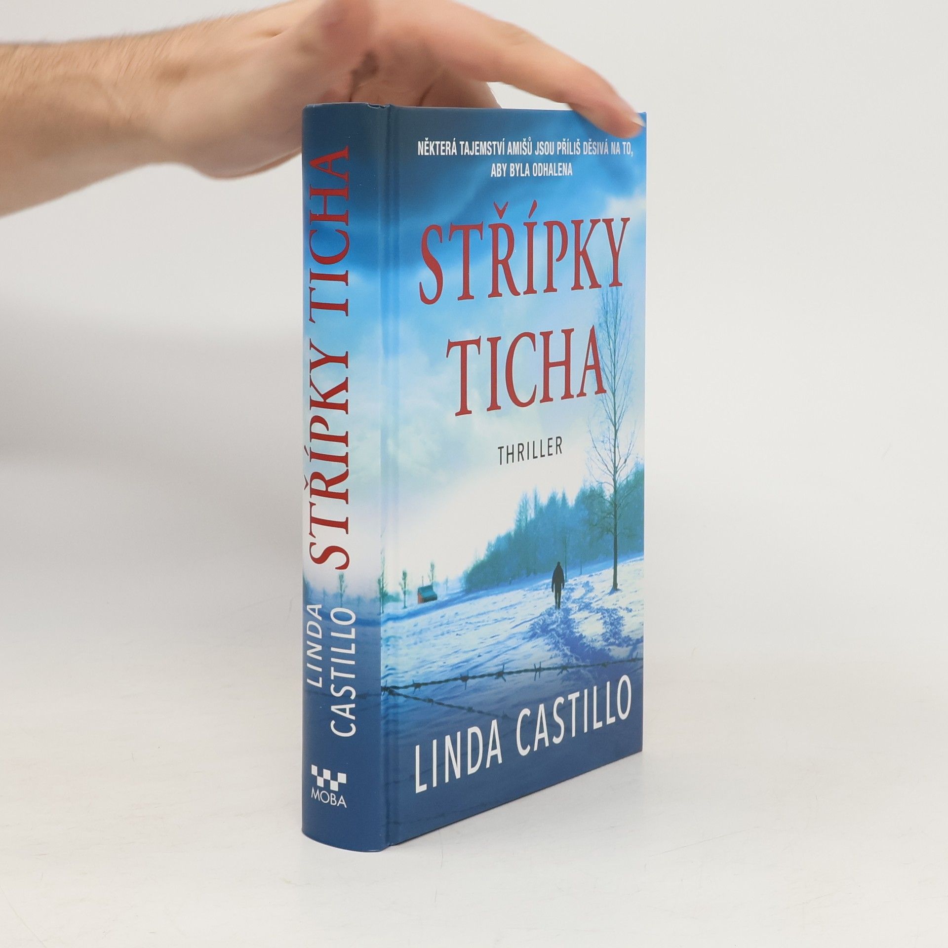 Linda Castillo Střípky ticha