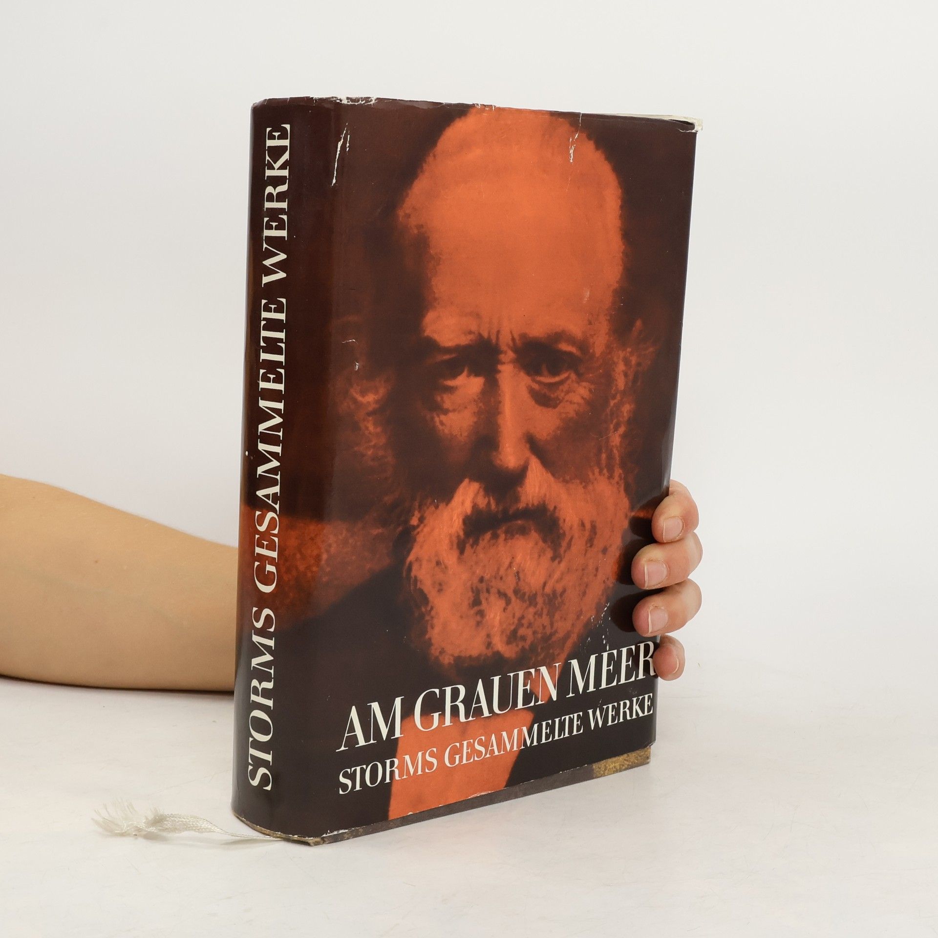 Hans Theodor Woldsen Storm Am grauen Meer. Storms gesammelte Werke