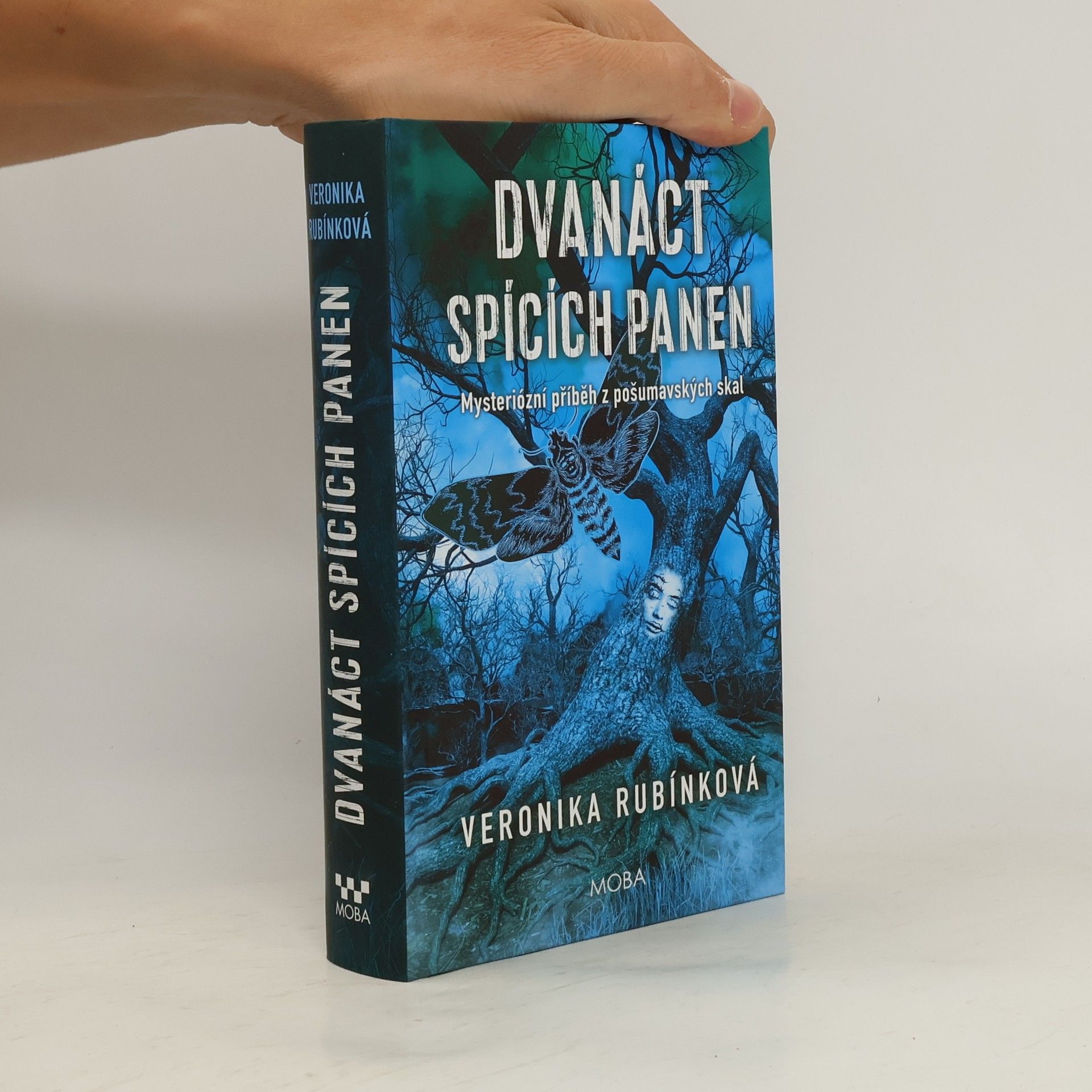 Veronika Rubínková Dvanáct spících panen