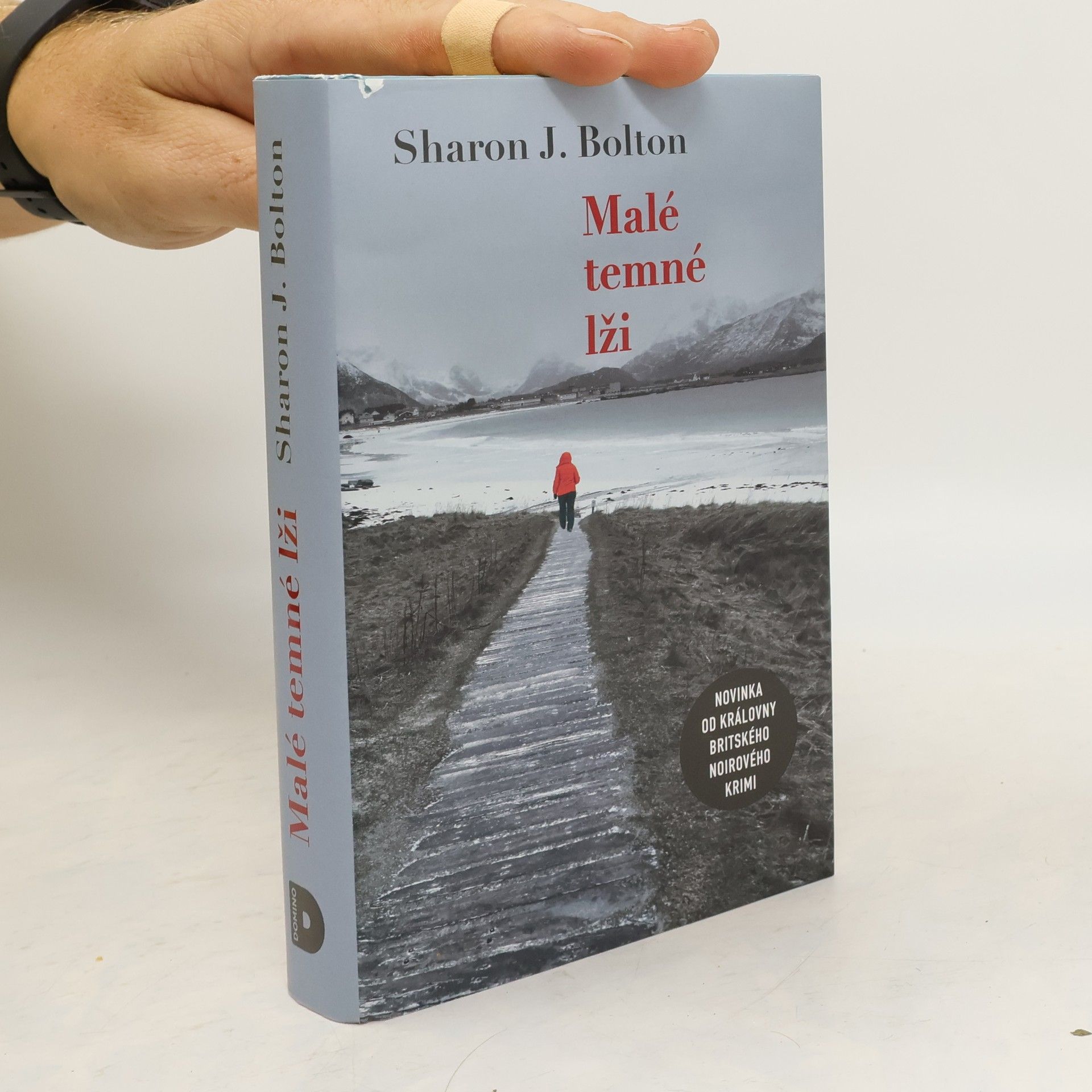 S. J. Bolton Malé temné lži