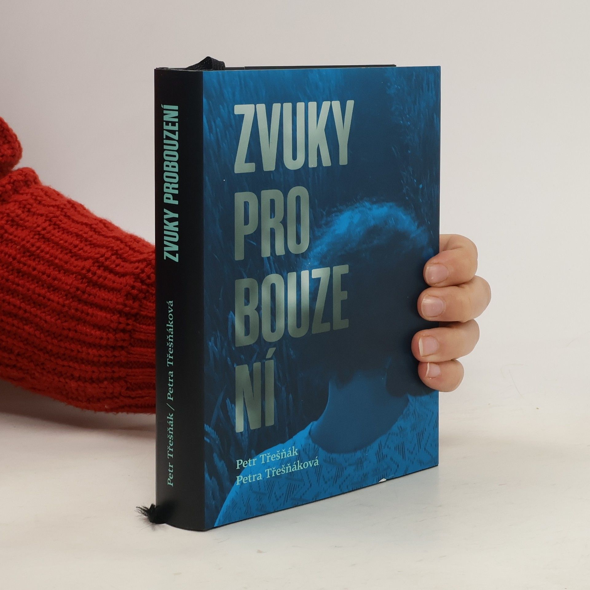 Petr Třešňák Zvuky probouzení