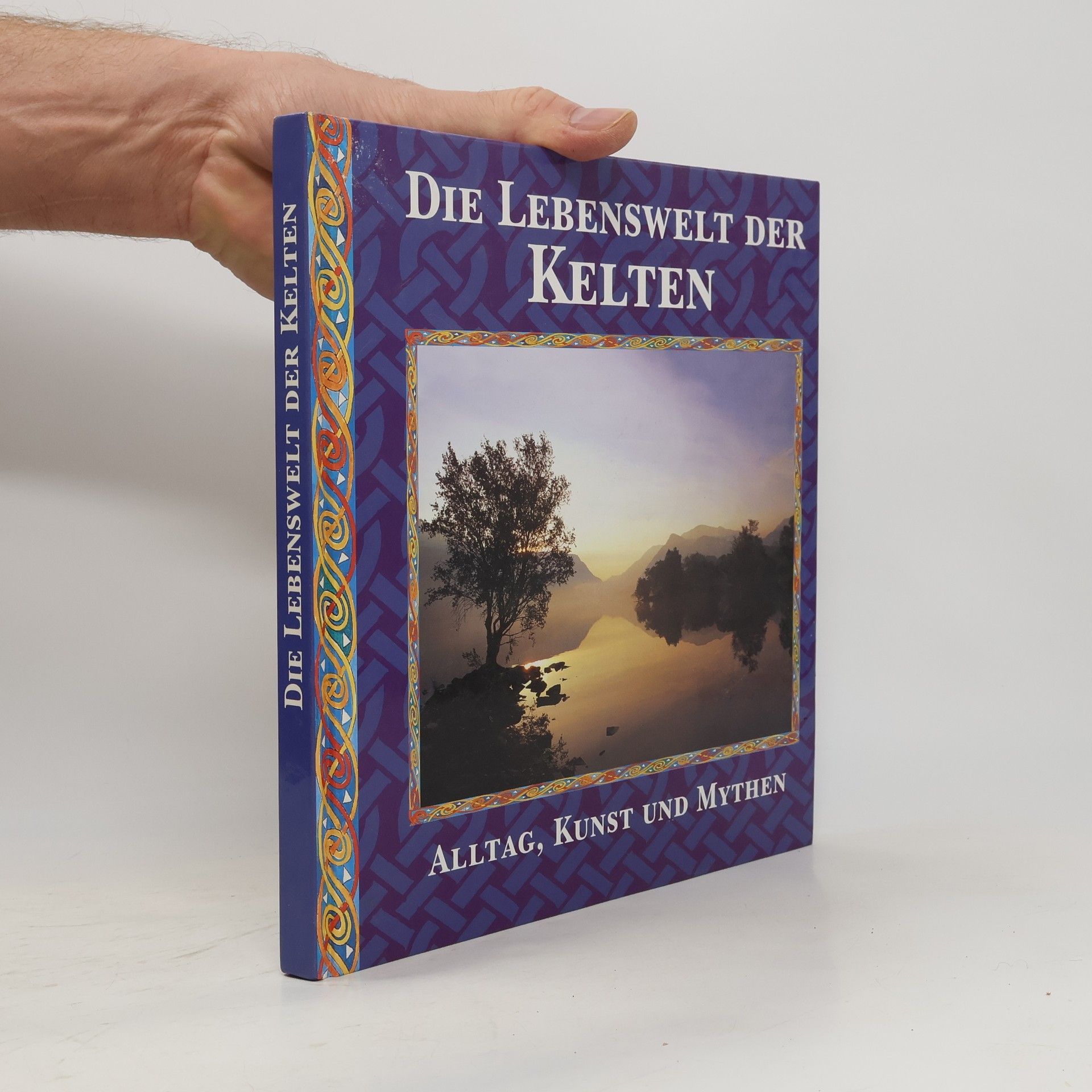 Juliette Wood Die Lebenswelt der Kelten