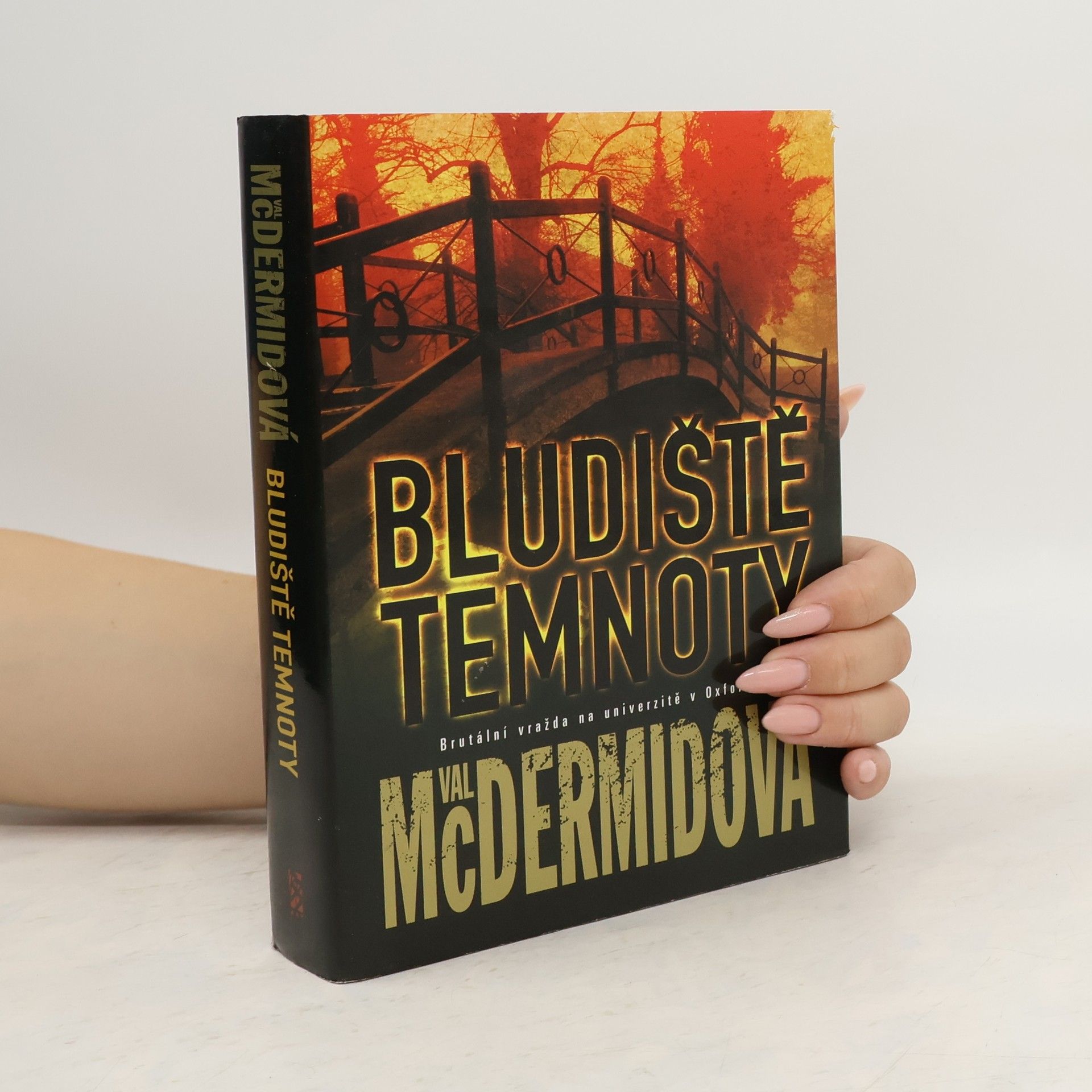 Val McDermid Bludiště temnoty