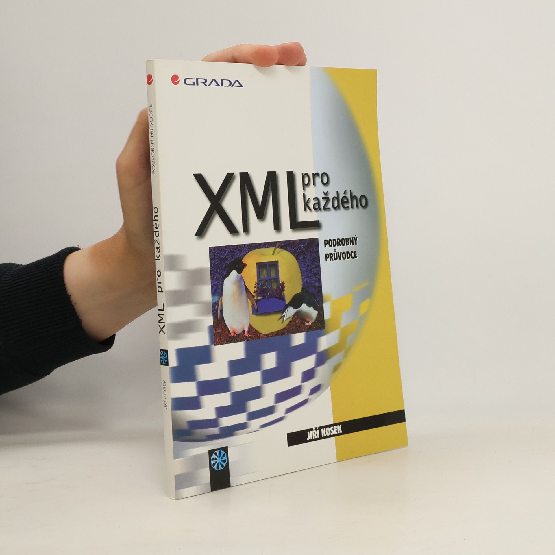 Jiří Kosek XML pro každého: Podrobný průvodce
