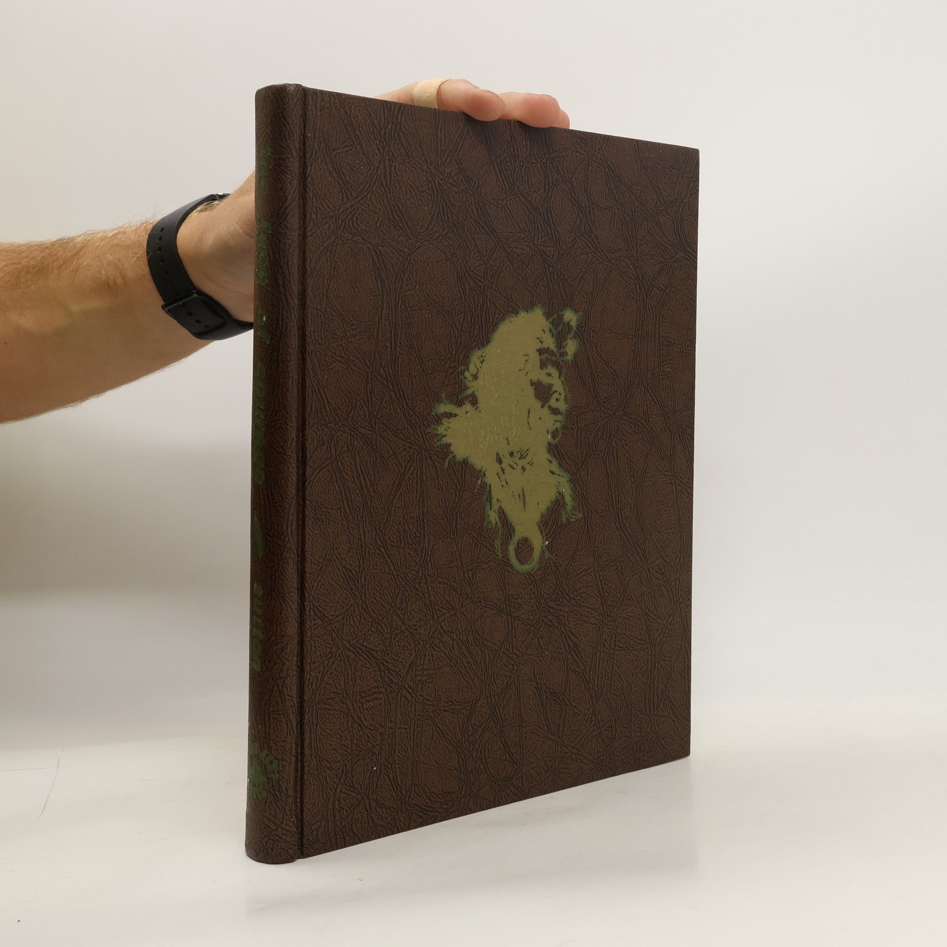 Collectif d'auteurs The Face of Courage