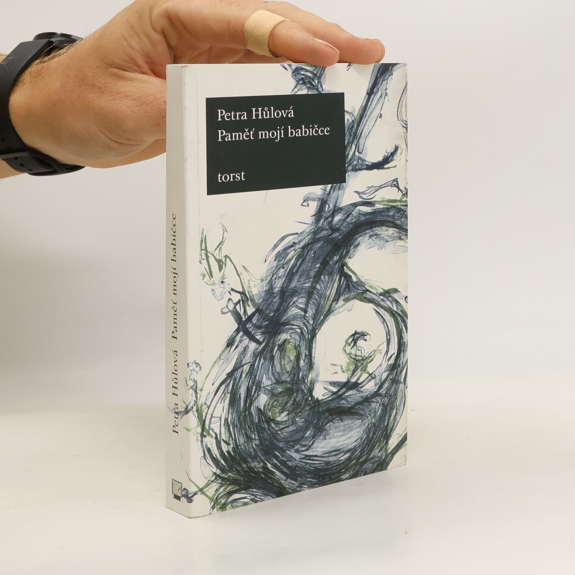 Petra Hůlová Paměť mojí babičce