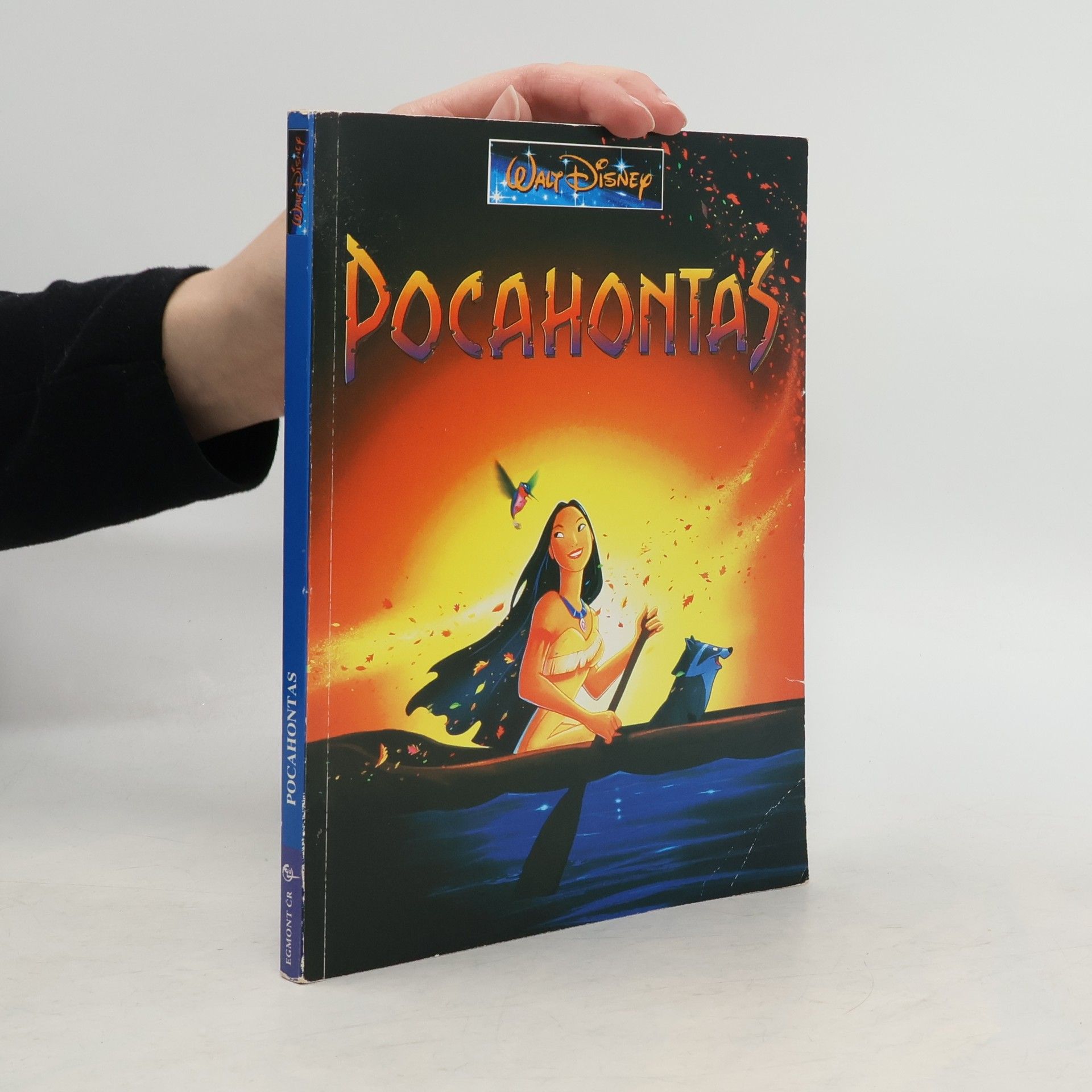 Walt Disney Pocahontas