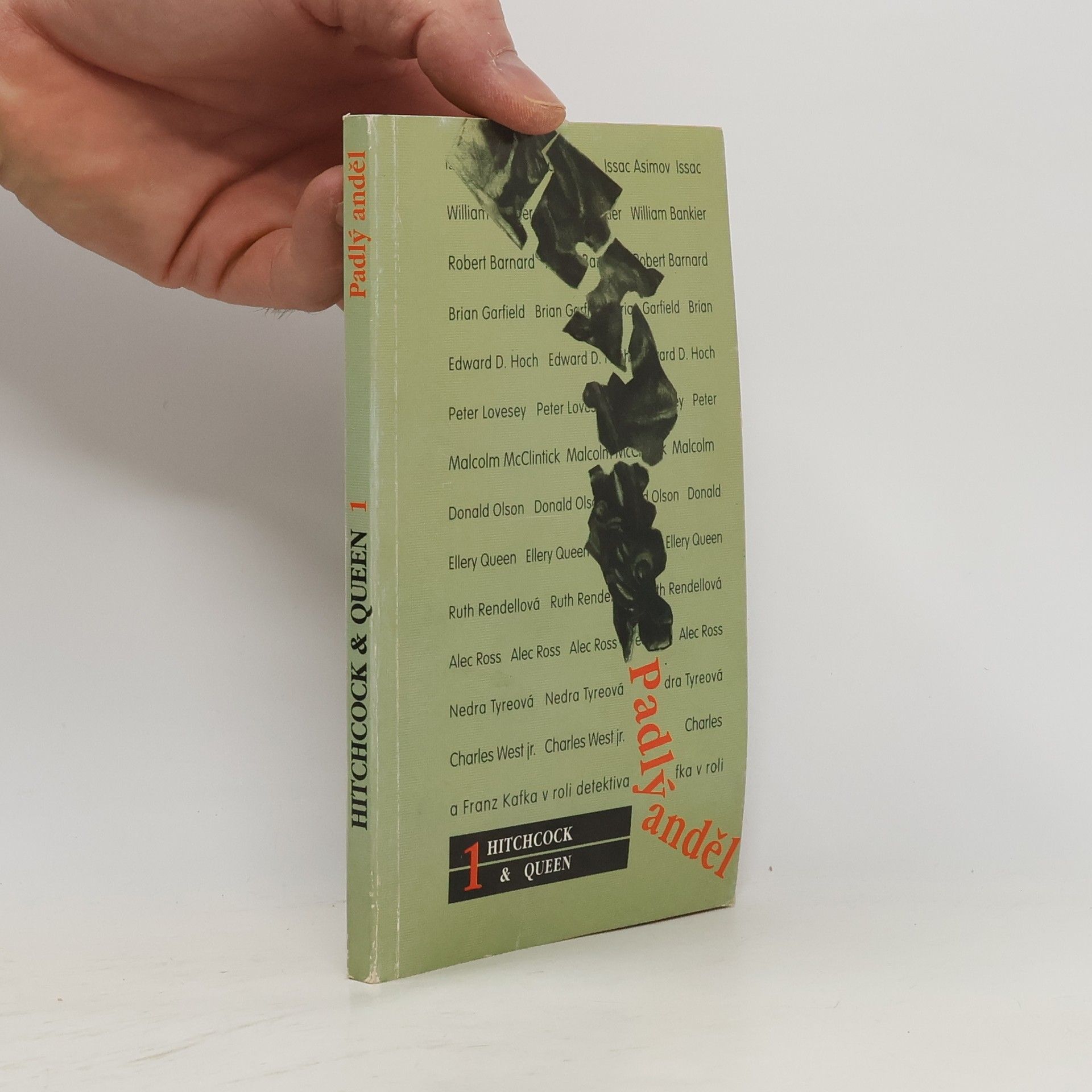 Kolektiv autorů Padlý anděl