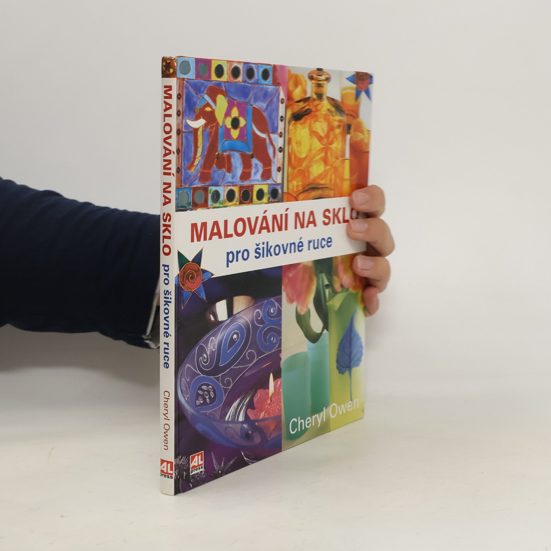 Cheryl Owen Malování na sklo pro šikovné ruce