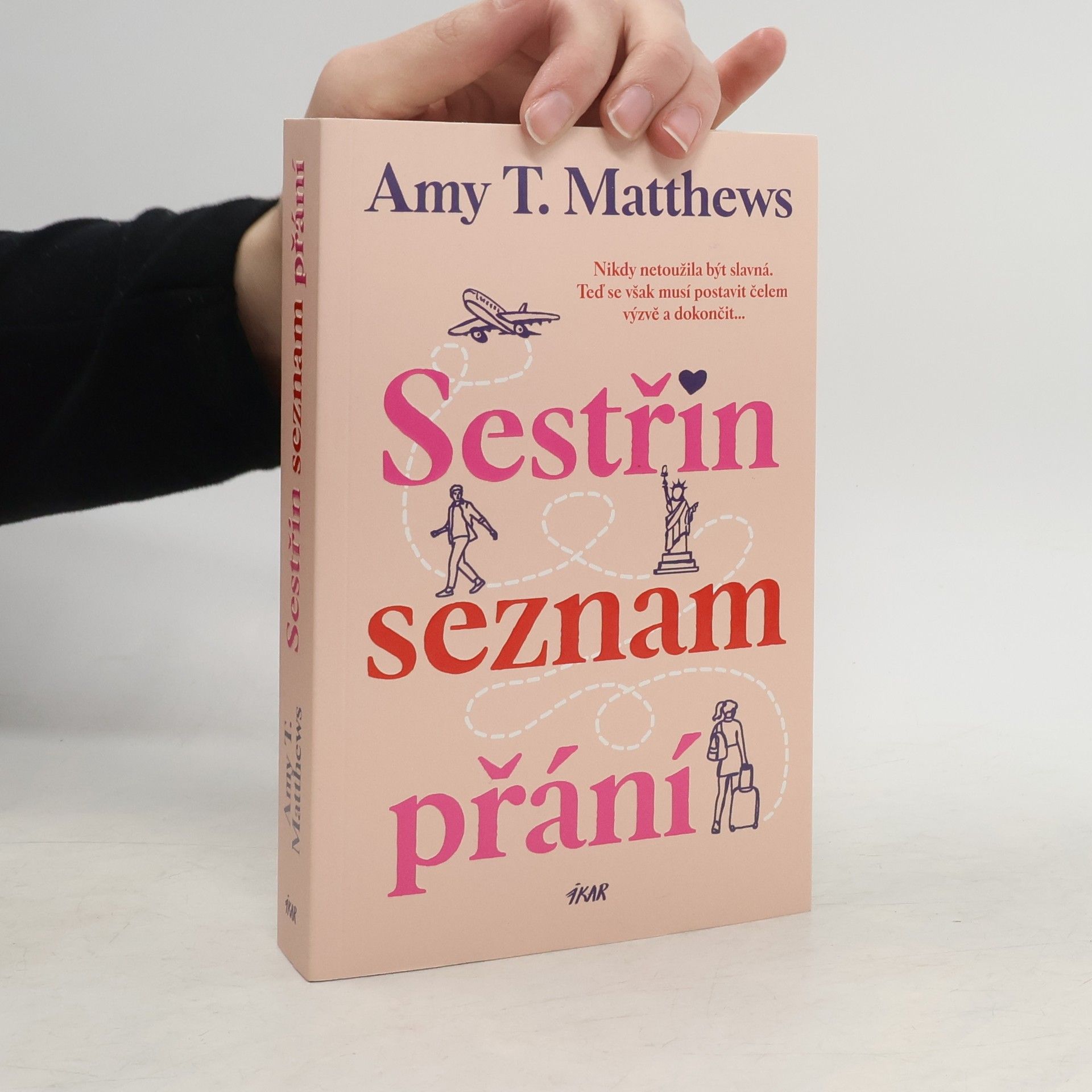 Amy Matthews Sestřin seznam přání