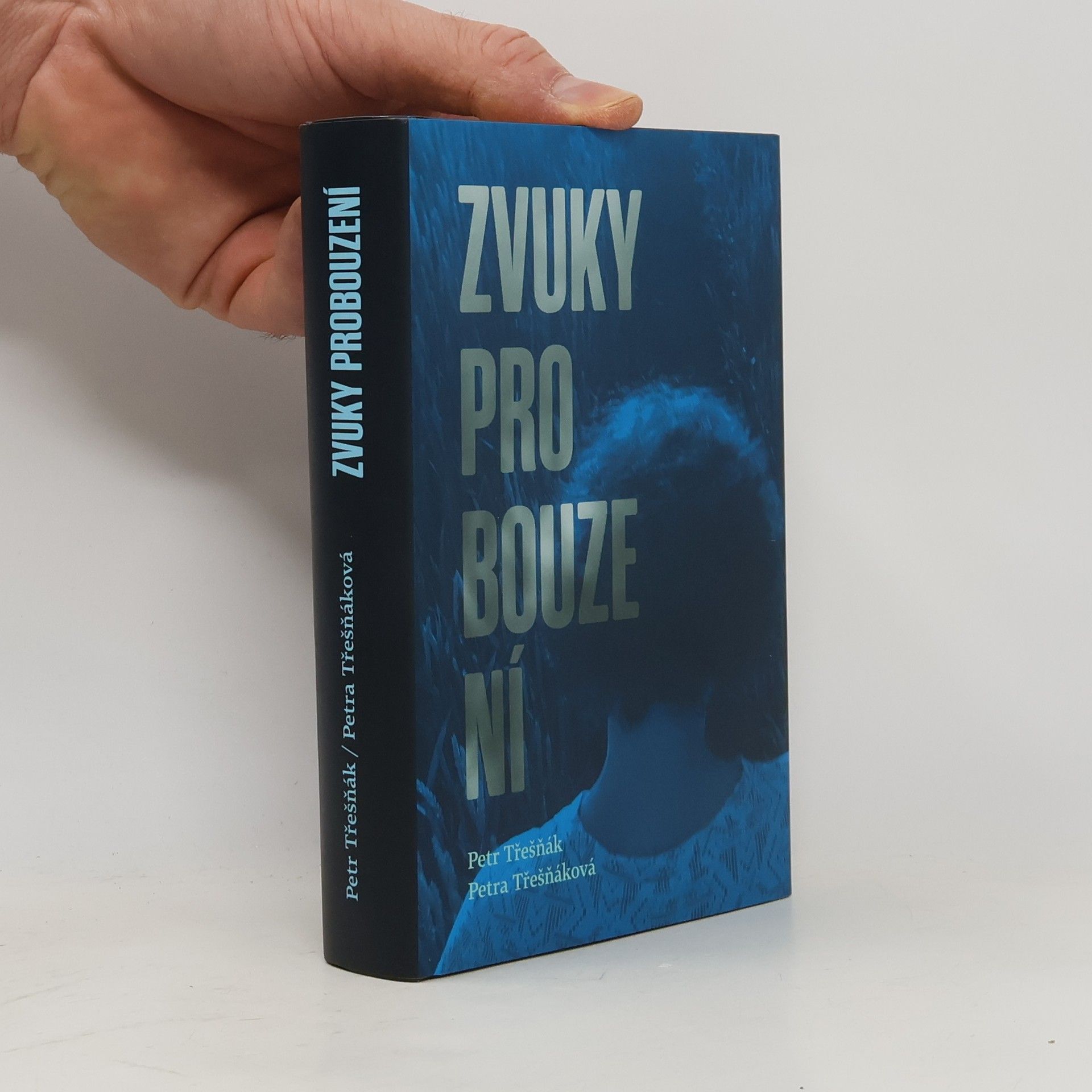 Petr Třešňák Zvuky probouzení