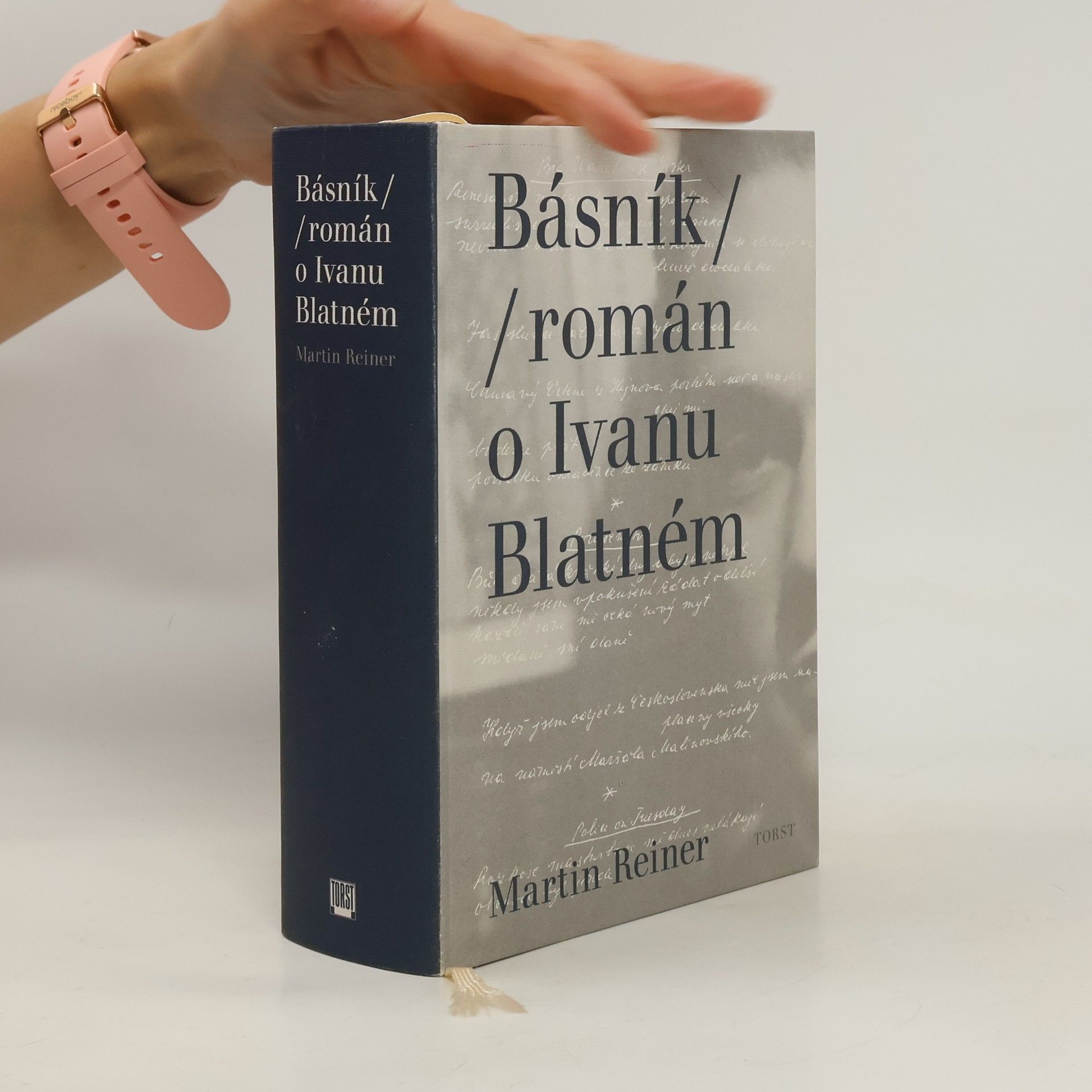 Básník. Román o Ivanu Blatném