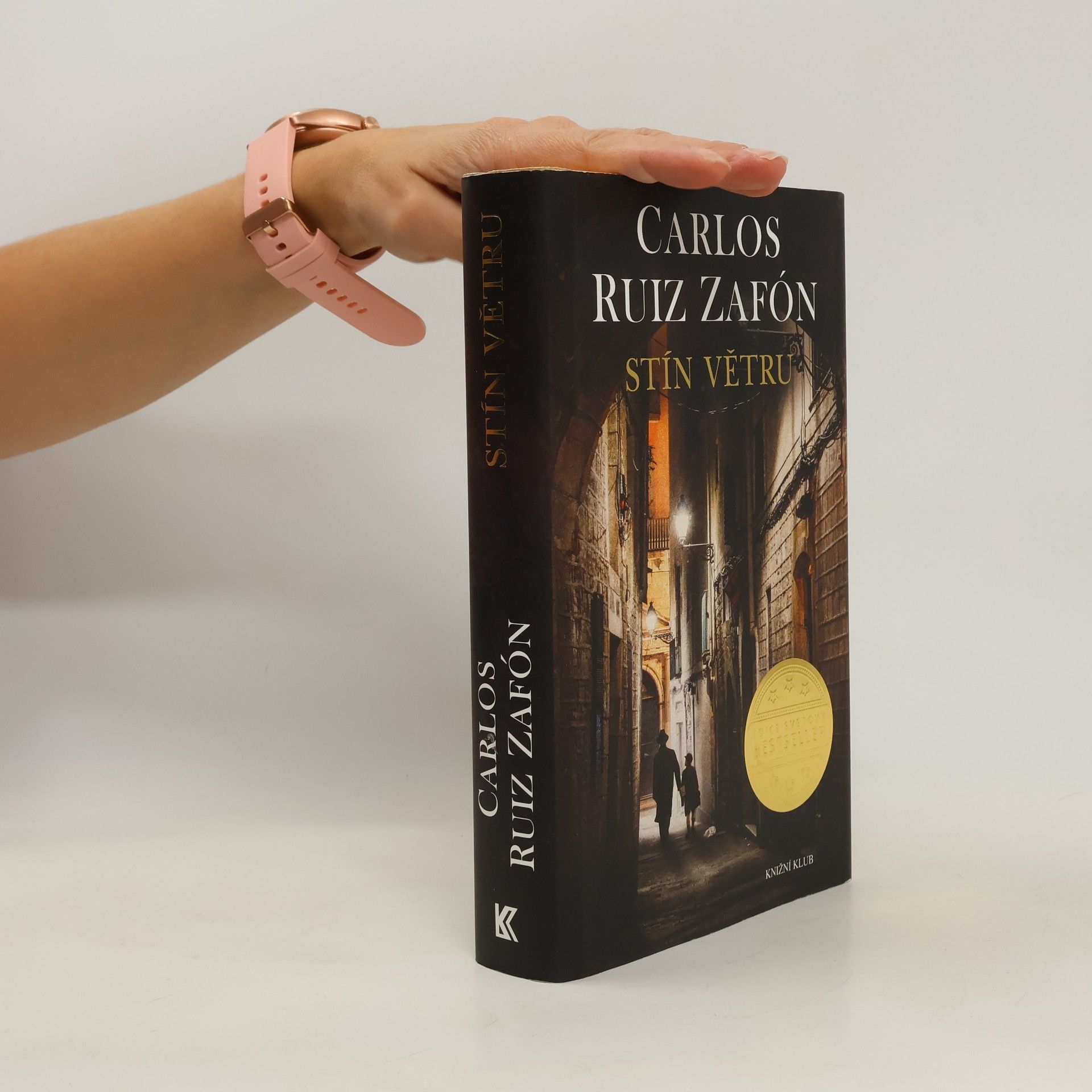 Carlos Ruiz Zafón Stín větru