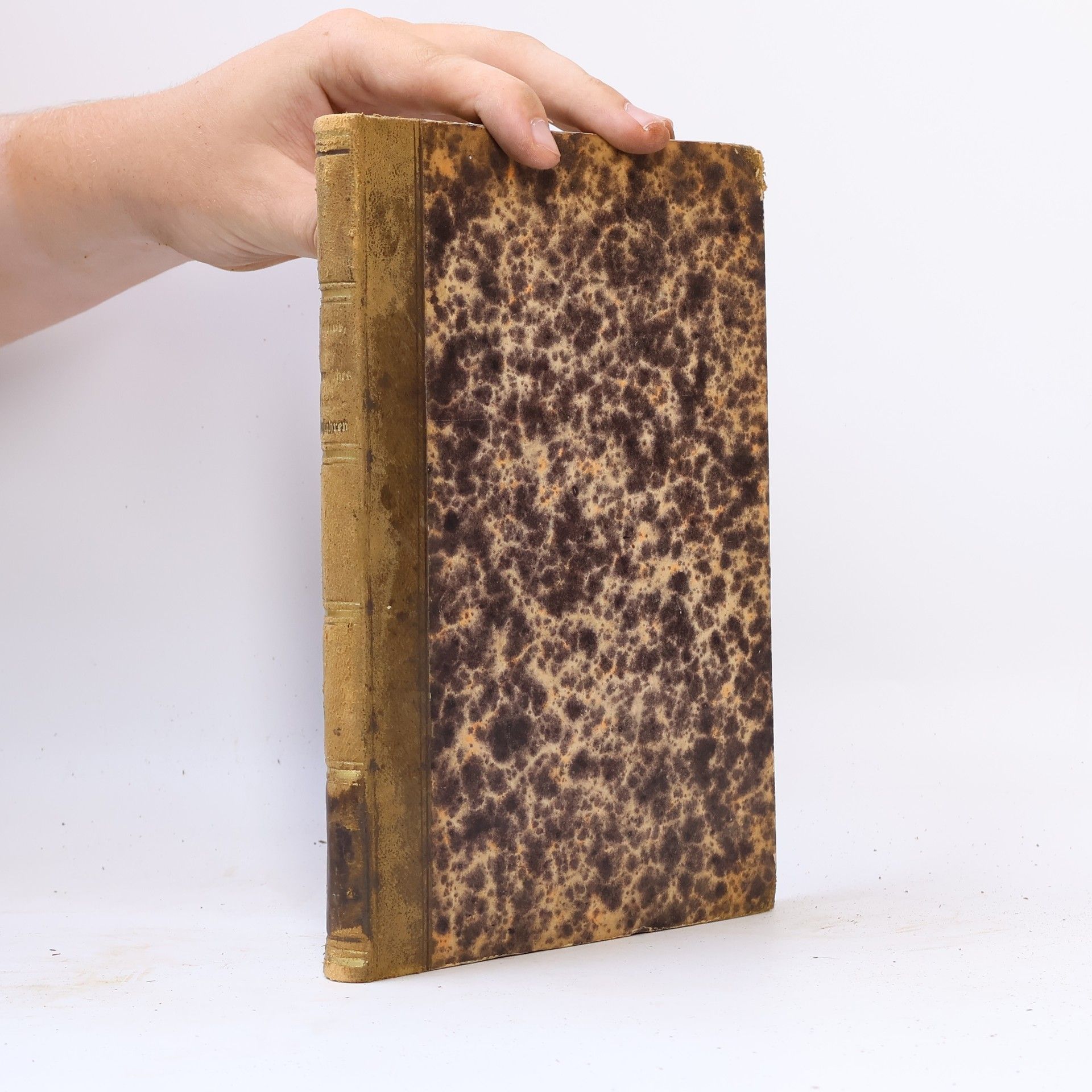 Wilhelm Molitor Ueber kanonisches Gerichtsverfahren gegen Kleriker