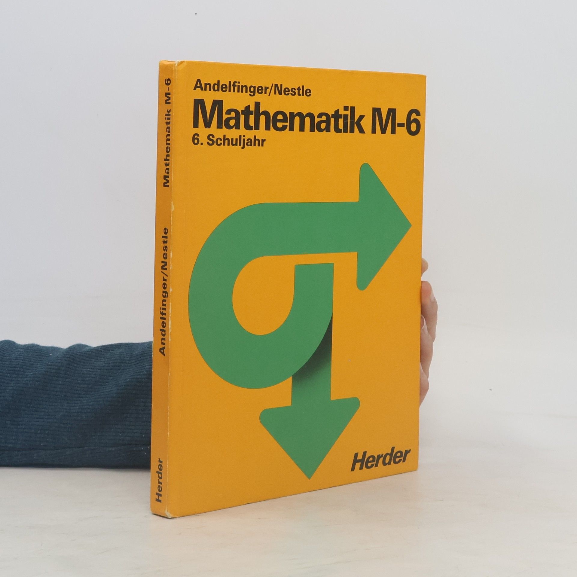 Collectif d'auteurs Mathematik für weiterführende Schulen
