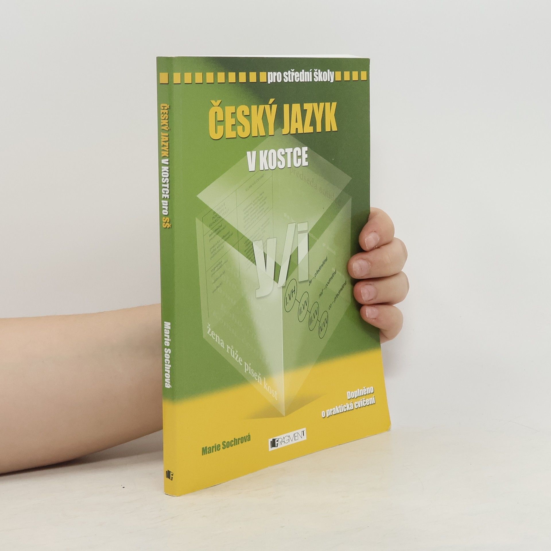 Marie Sochrová Český jazyk v kostce : pro střední školy