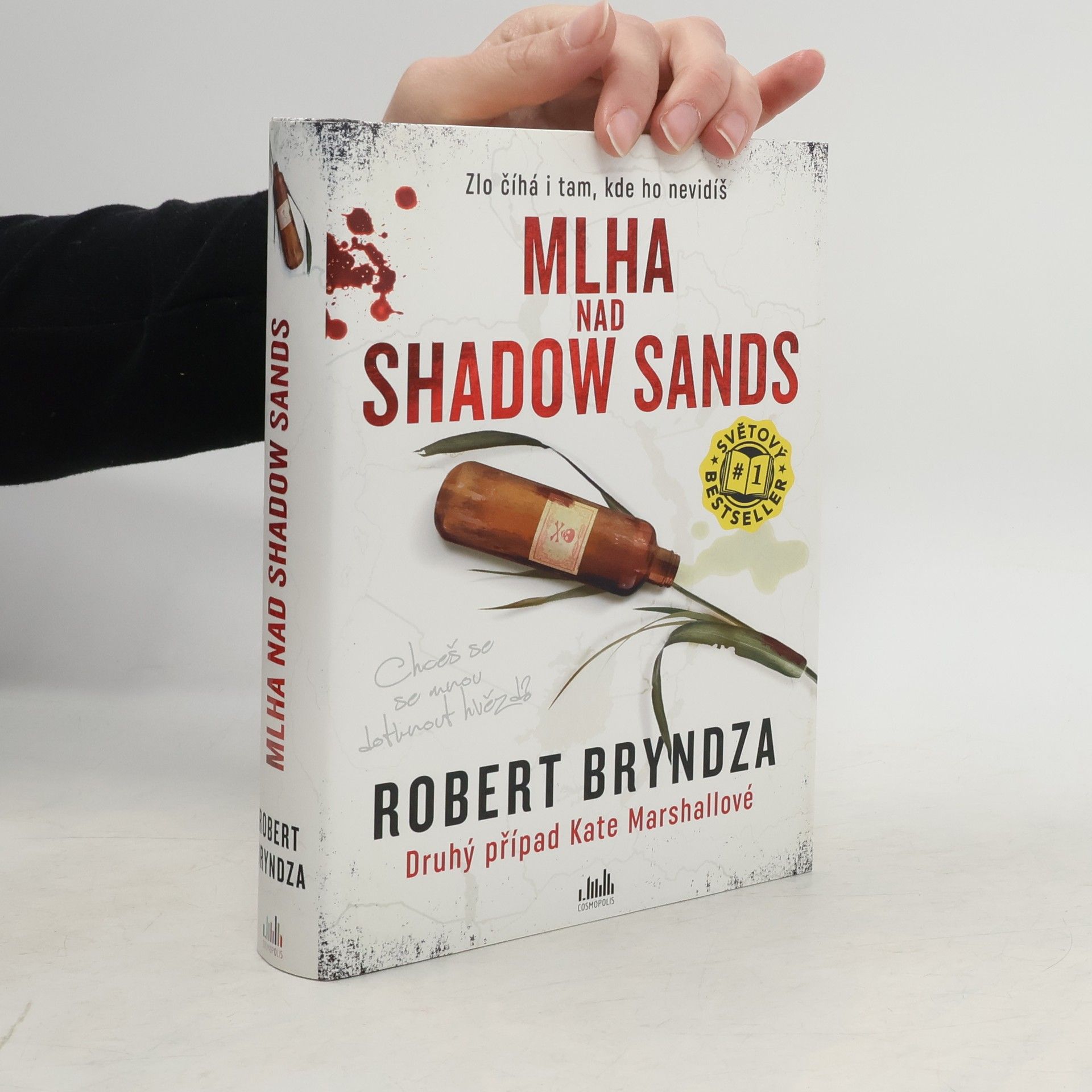 Robert Bryndza Mlha nad Shadow Sands
