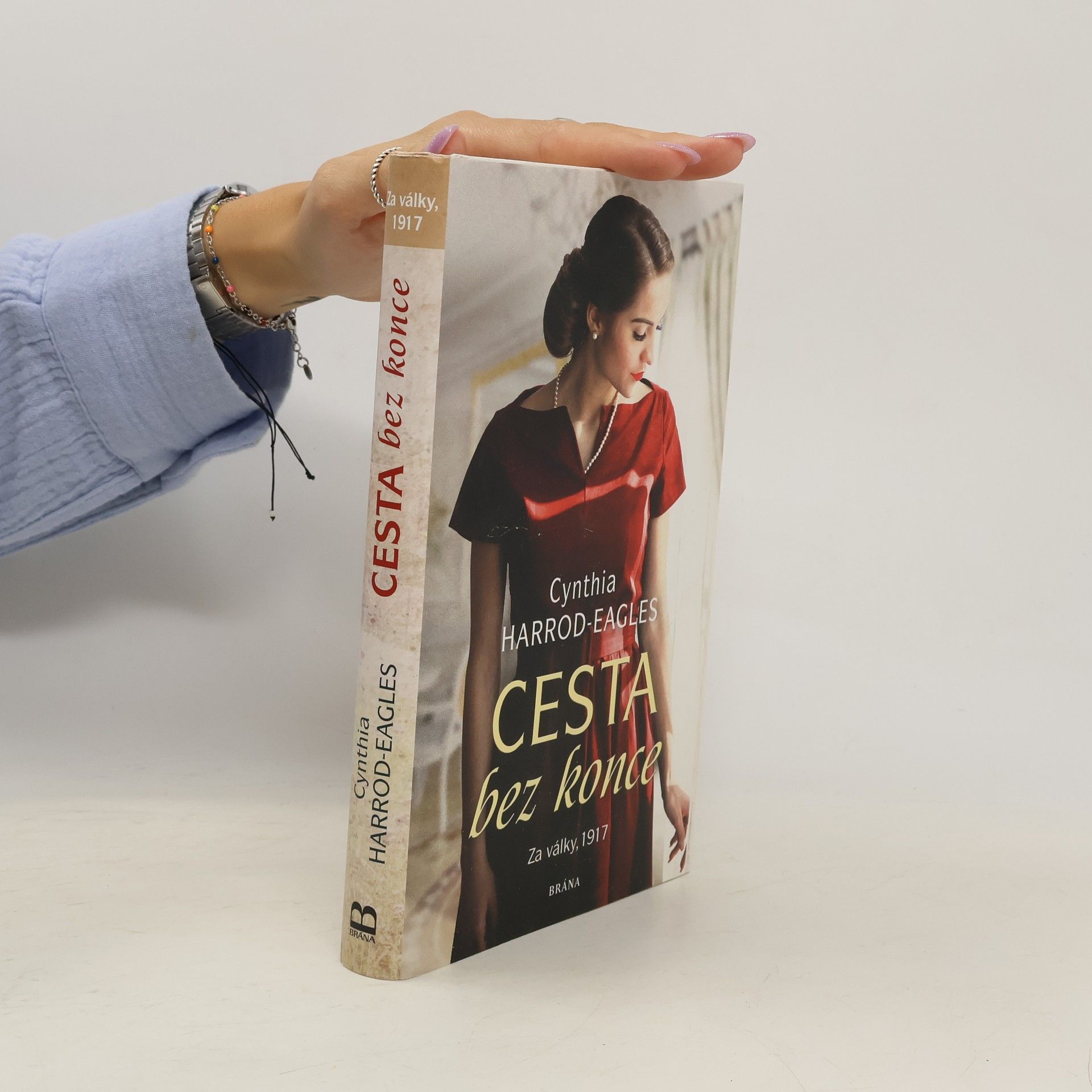 Cynthia Harrod-Eagles Cesta bez konce. Za války, 1917