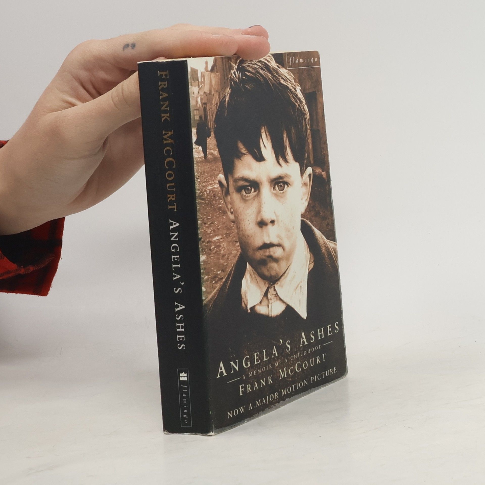 Frank McCourt Angela's Ashes