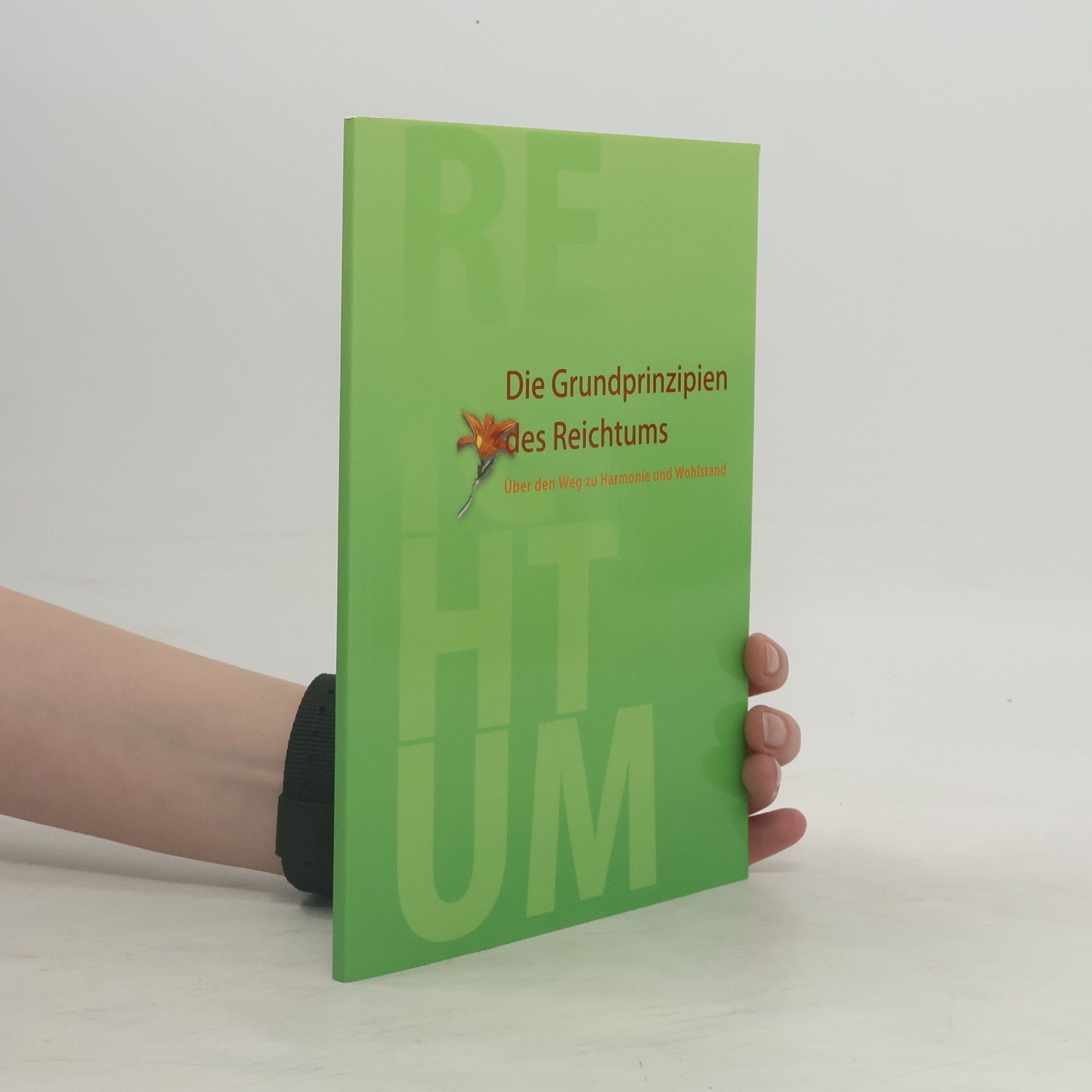 Autorenkollektiv Die Grundprinzipien des Reichtums