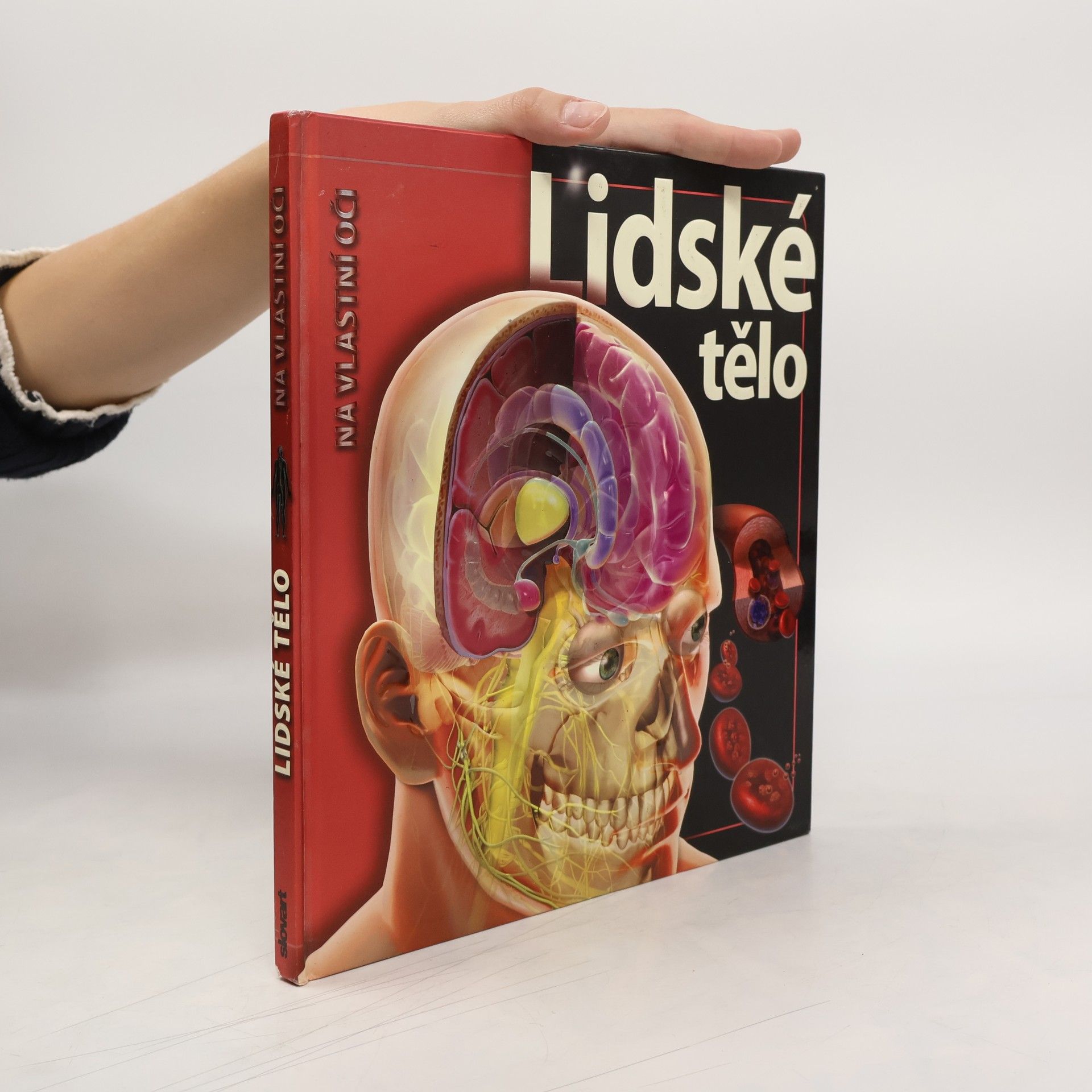 Linda Calabresi Lidské tělo