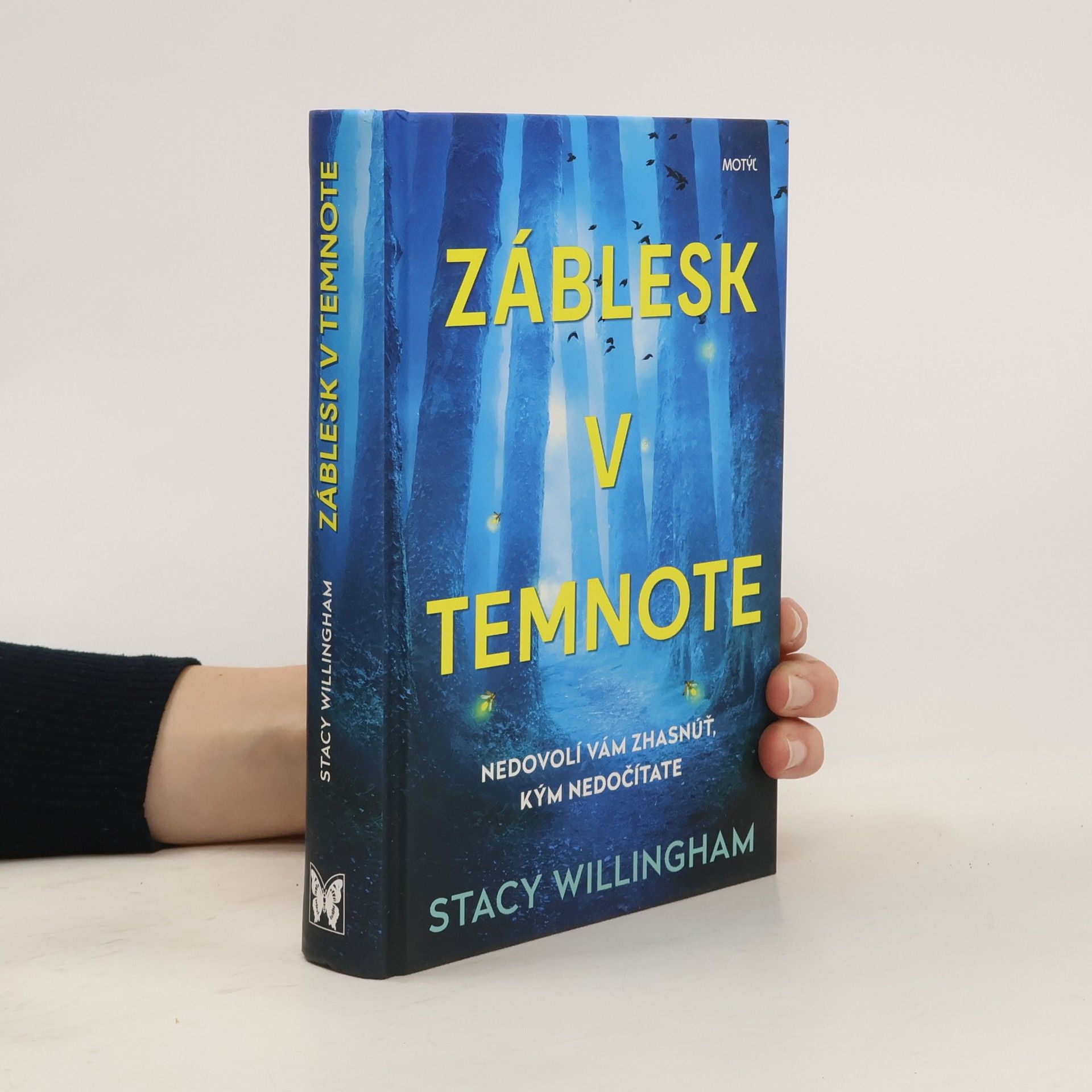 Stacy Willingham Záblesk v temnote