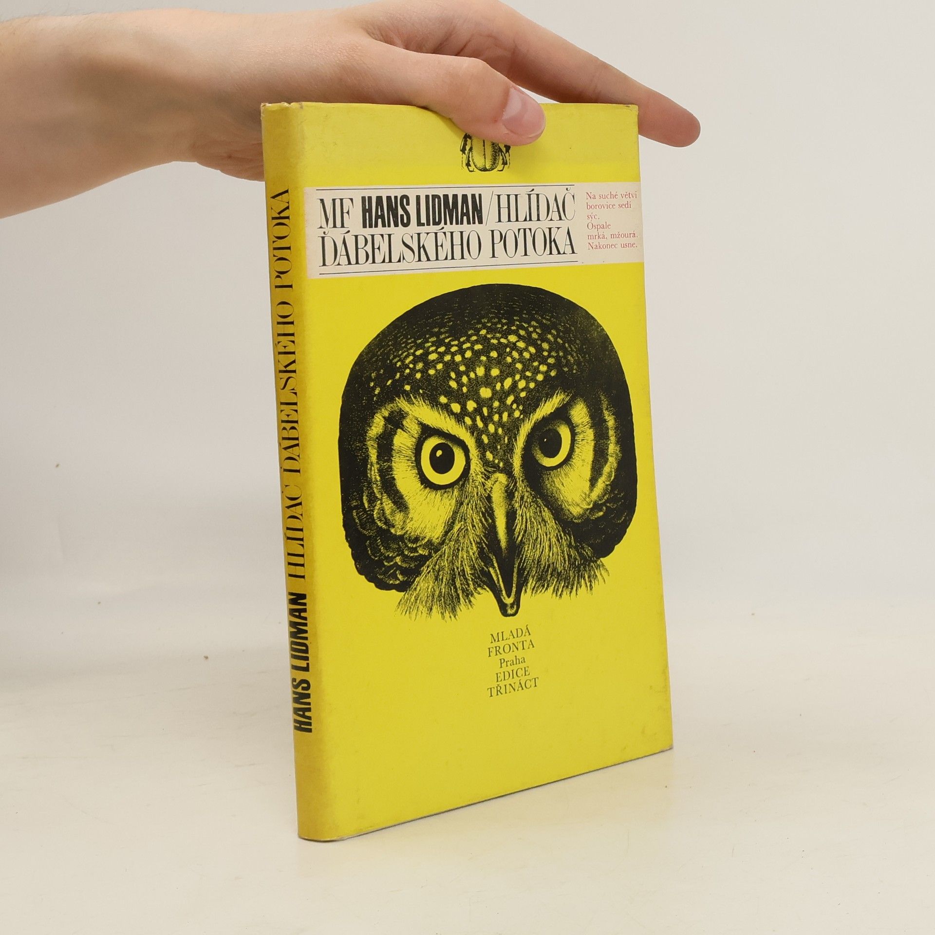 Hans Lidman Hlídač Ďábelského potoka