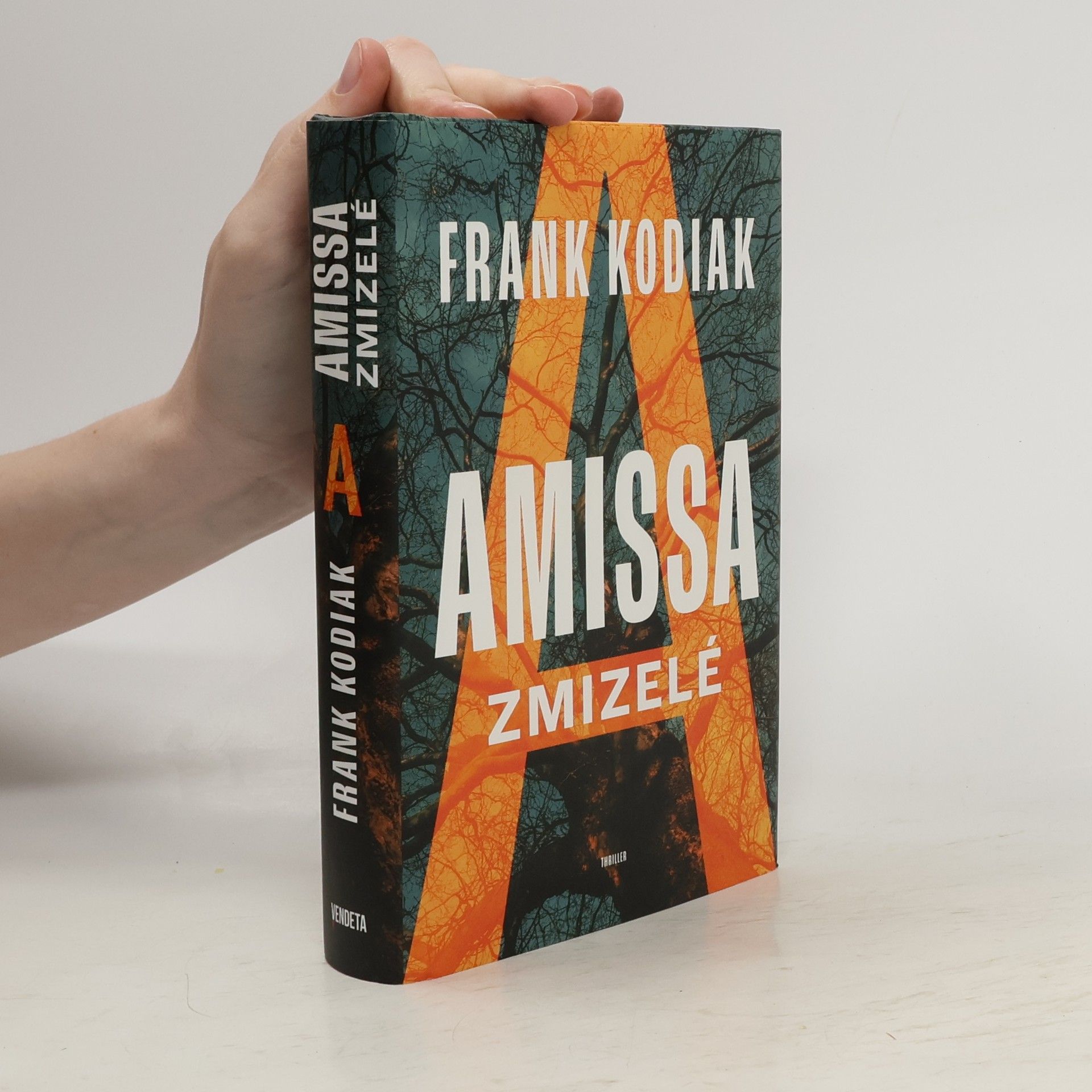 Hendrik Winter Amissa. Zmizelé