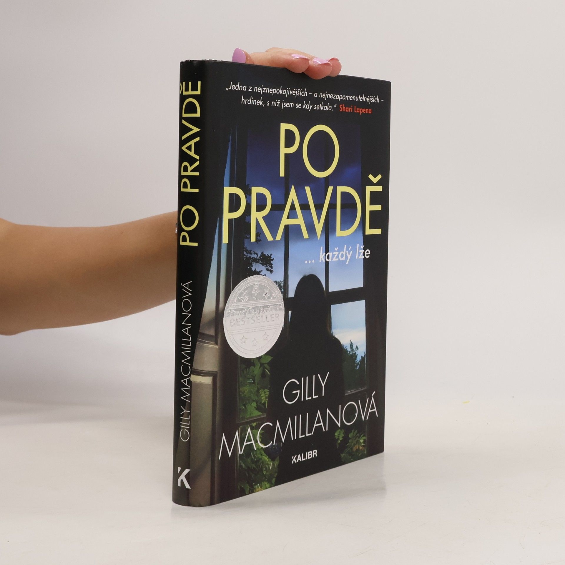 Gilly Macmillan Po pravdě ...každý lže