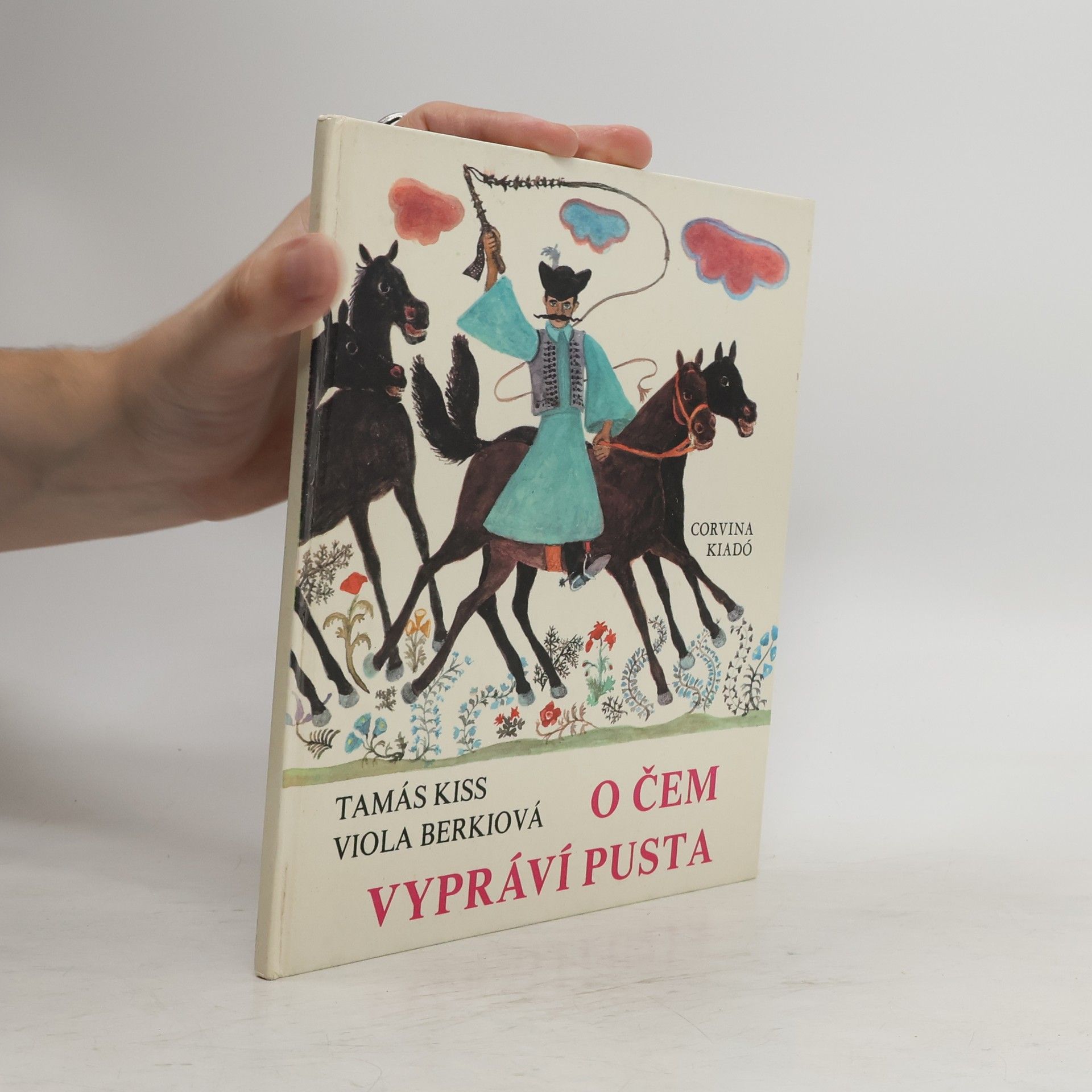 O čem vypráví pusta