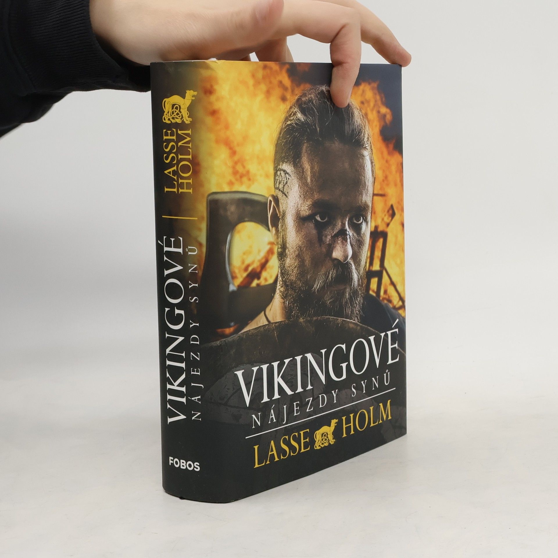 Vikingové. Nájezdy synů