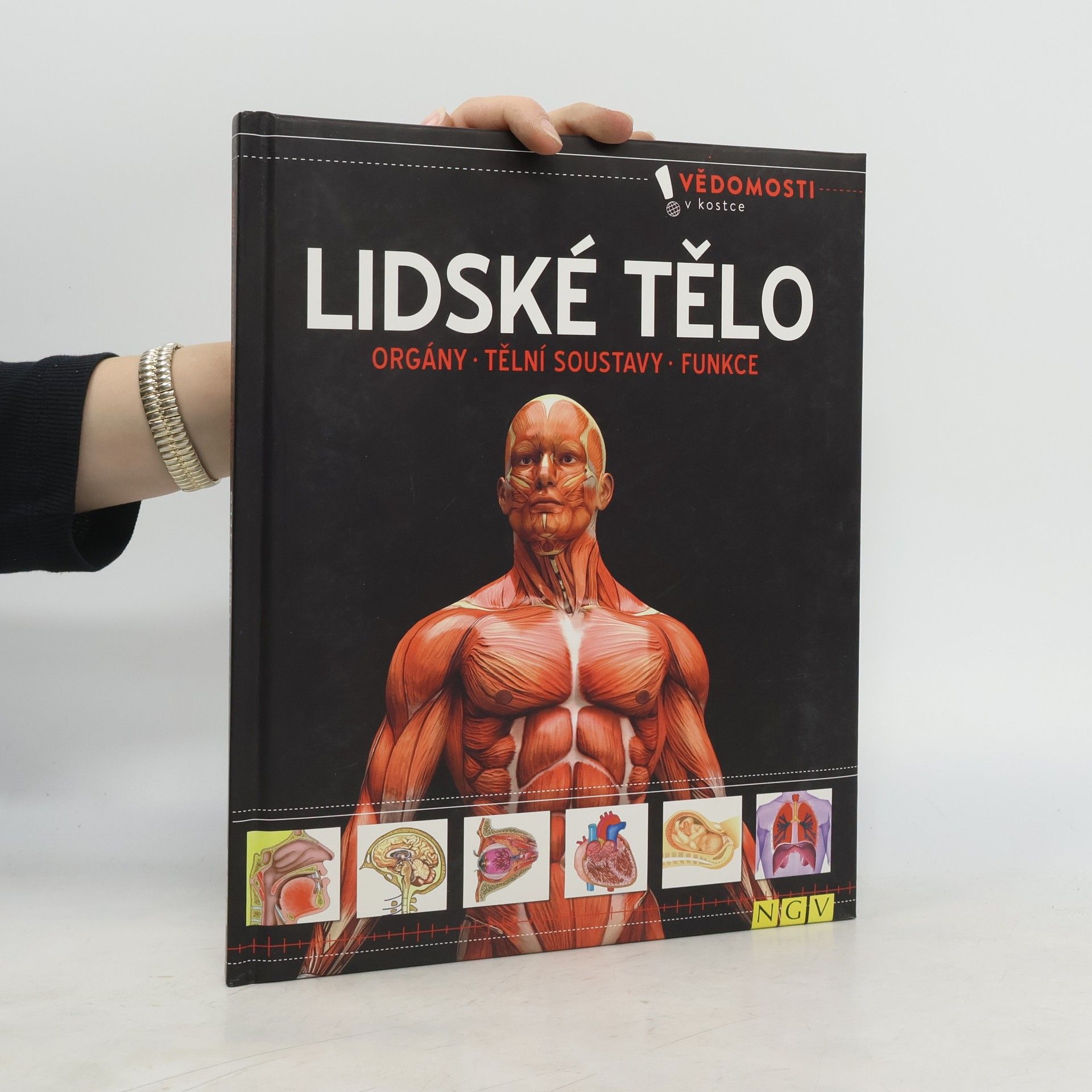 Autorenkollektiv Lidské tělo. Orgány, tělní soustavy, funkce