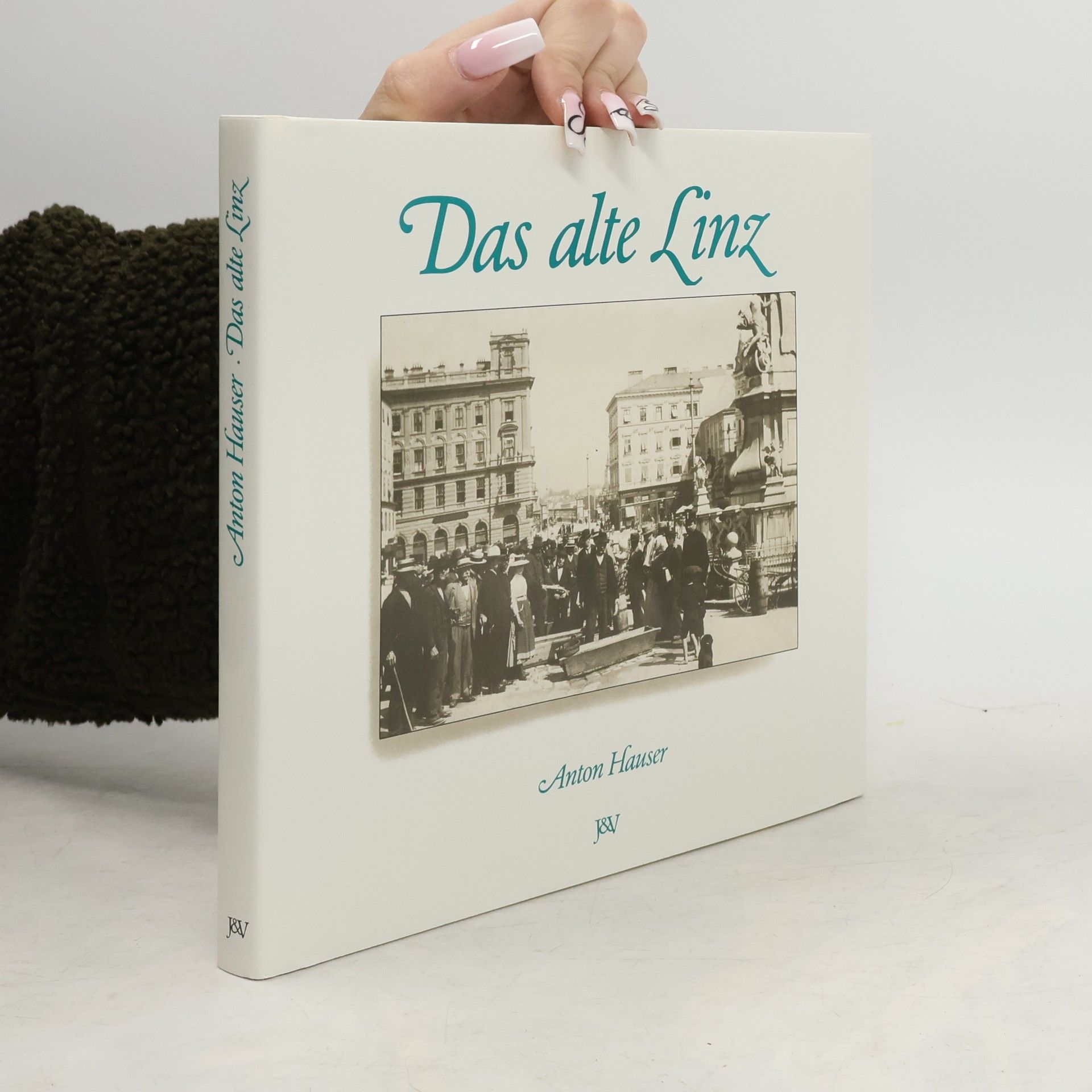 Anton Hauser Das alte Linz