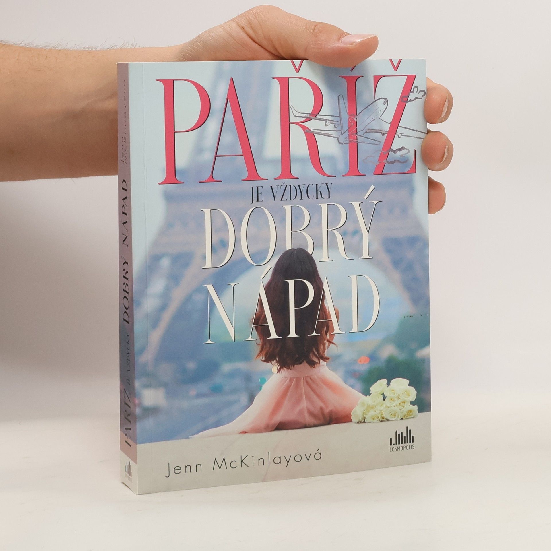 Jenn McKinlay Paříž je vždycky dobrý nápad