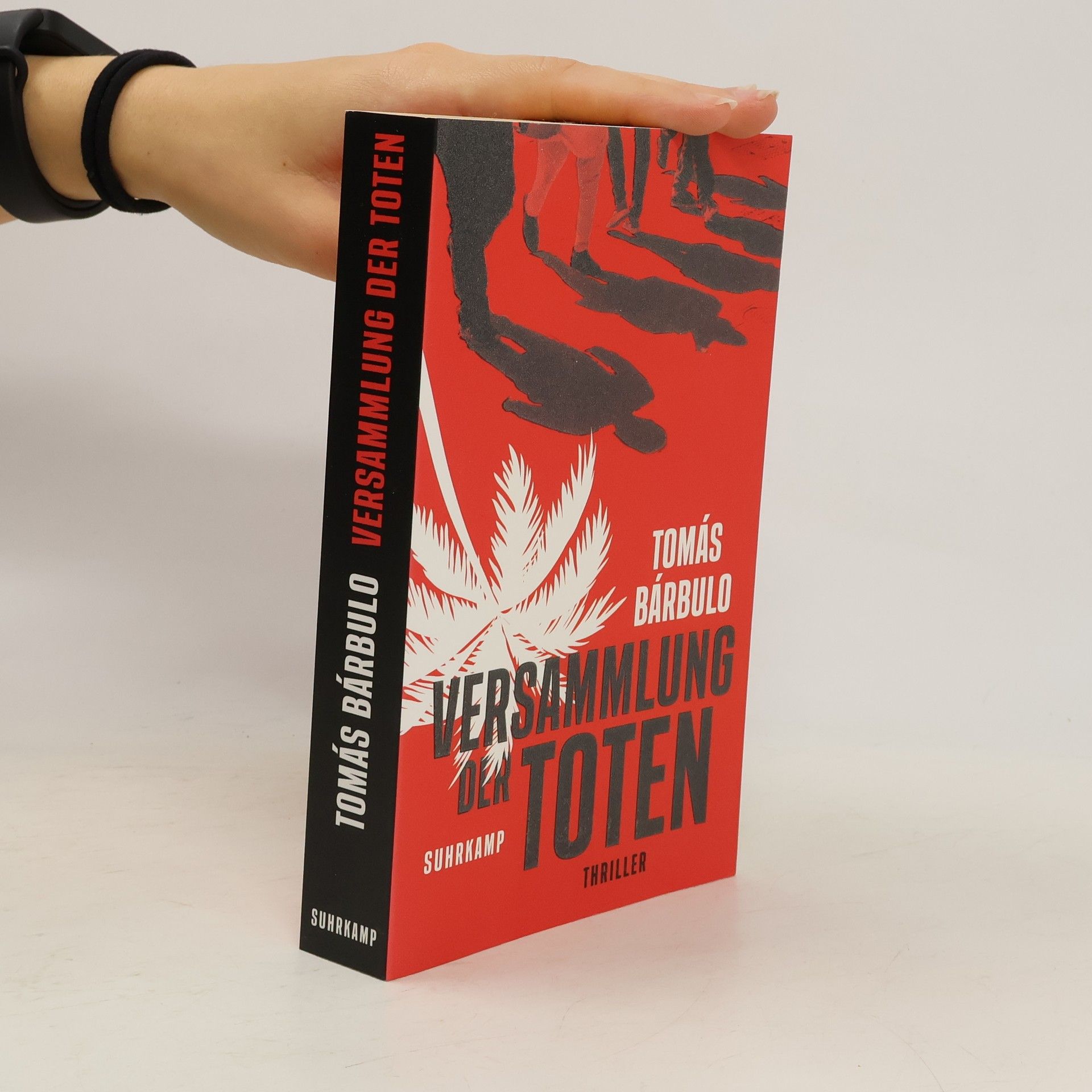 Tomás Bárbulo Versammlung der Toten