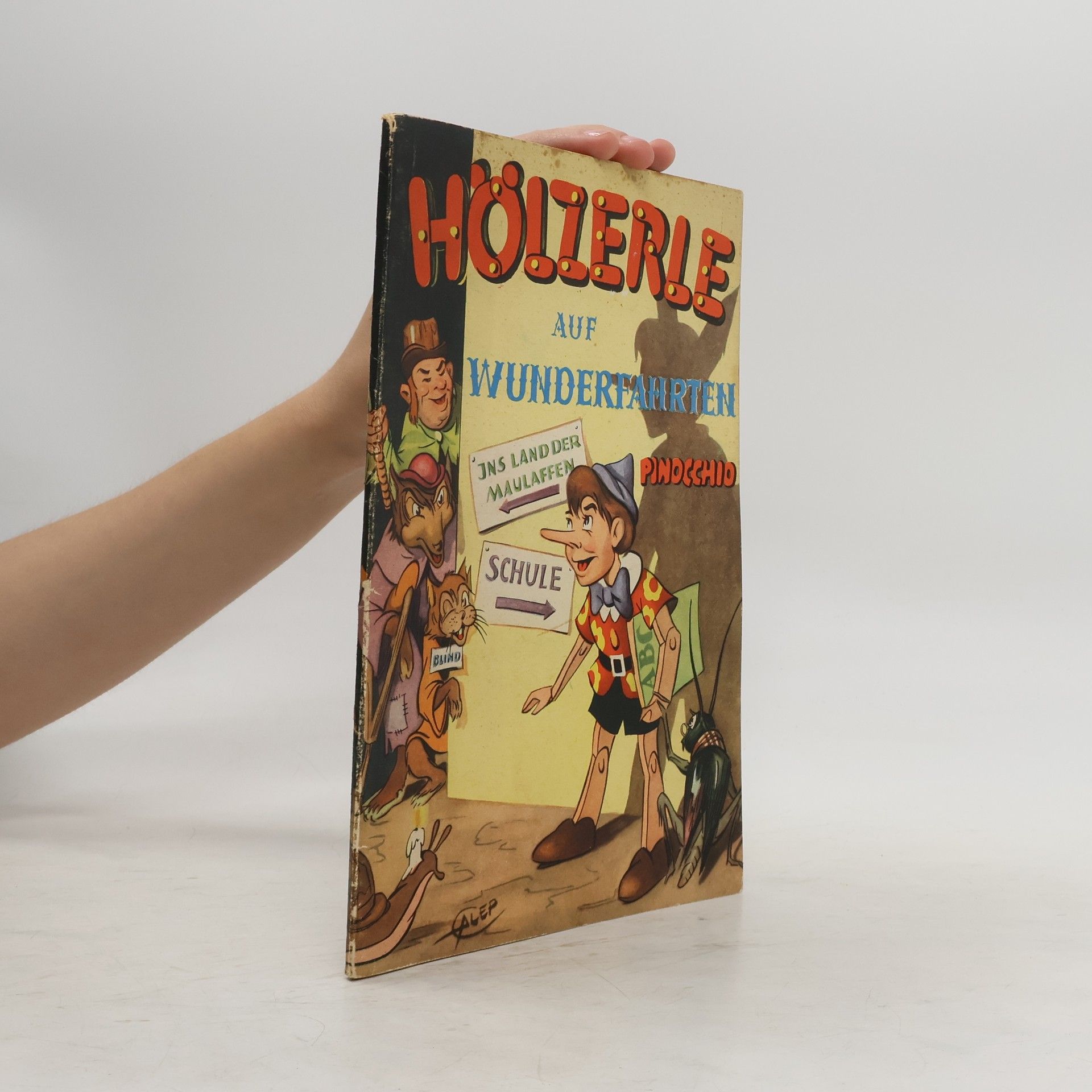 Auteurscollectief Hölzerle auf Wunderfahrten