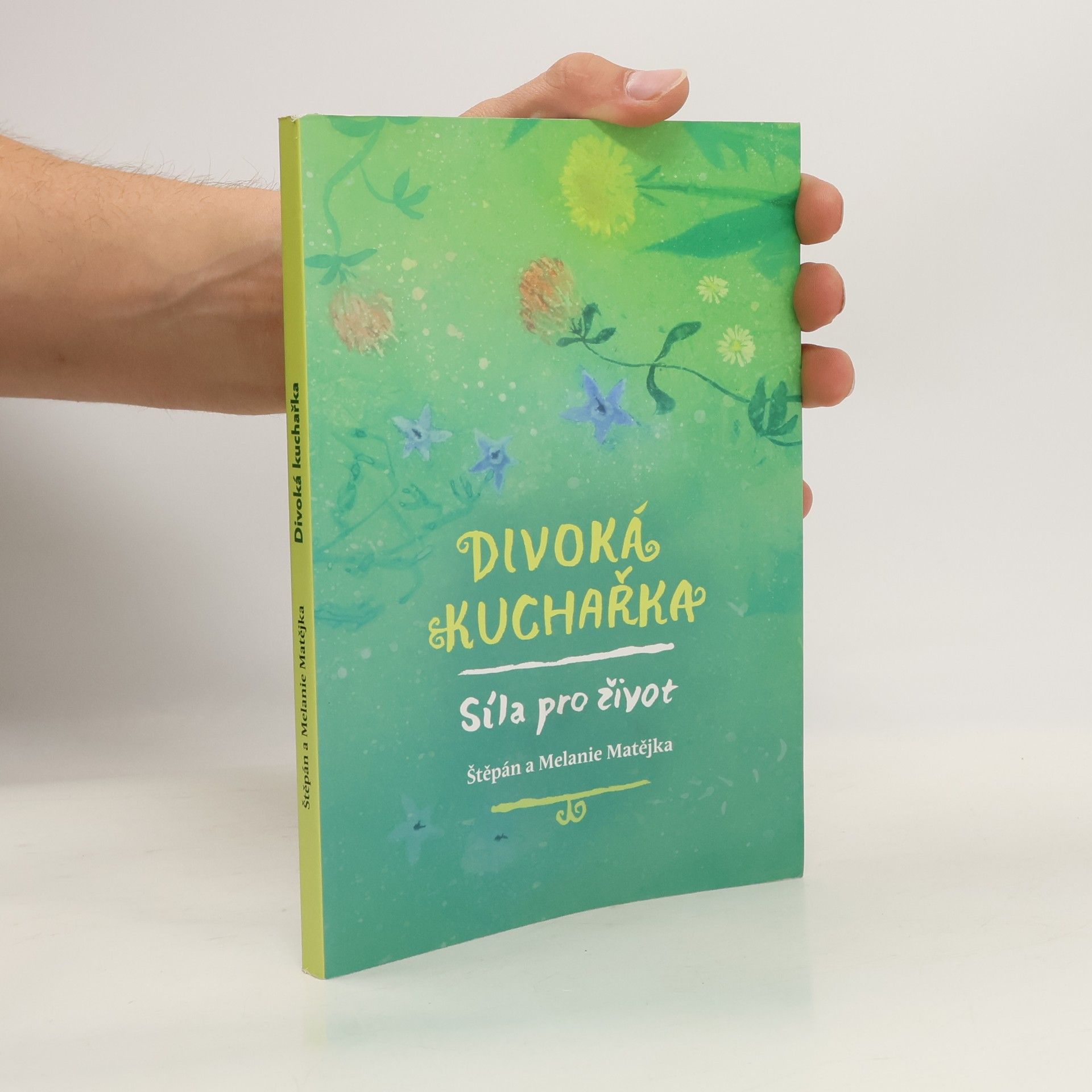 Štěpán Matějka Divoká kuchařka