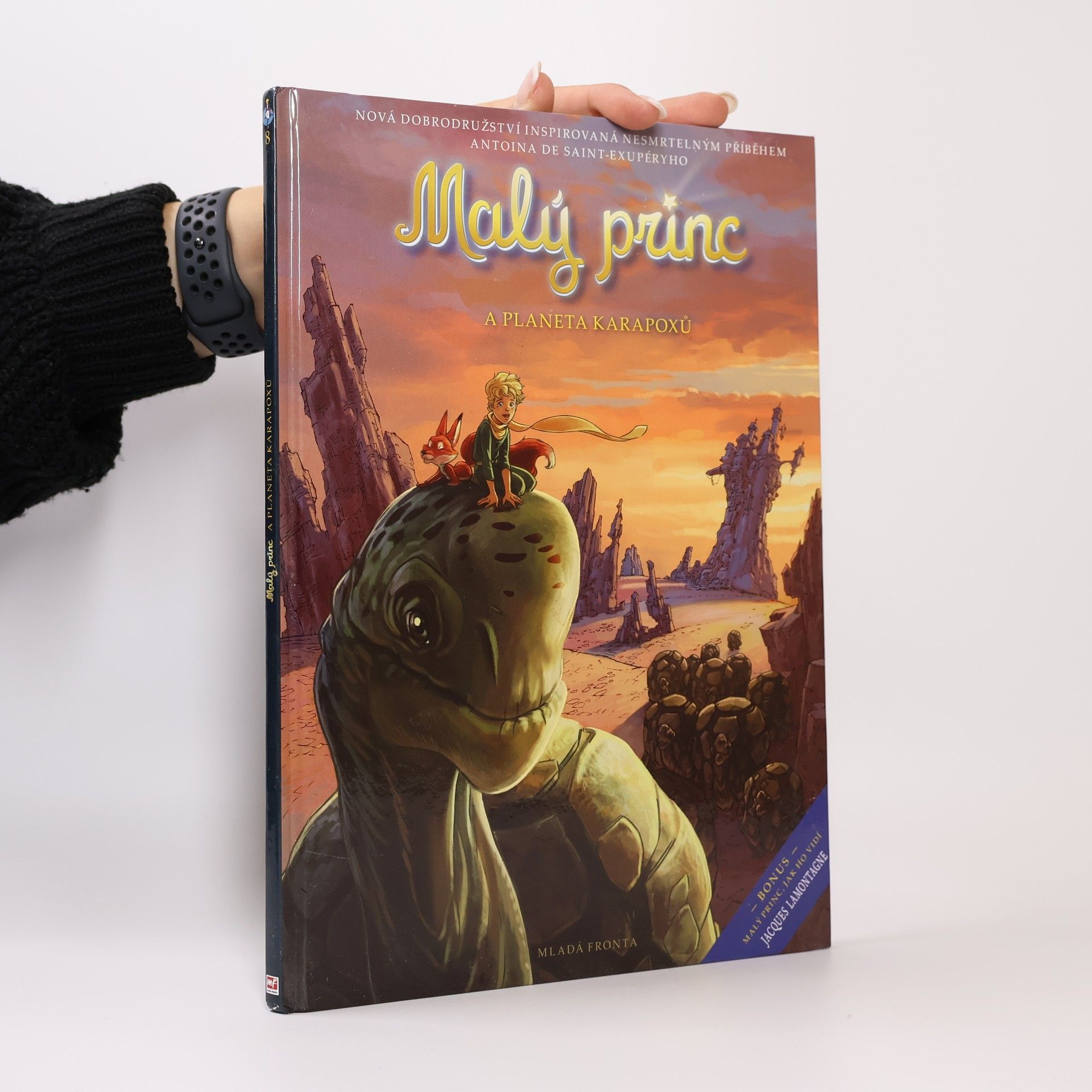 Malý princ a planeta Karapoxů