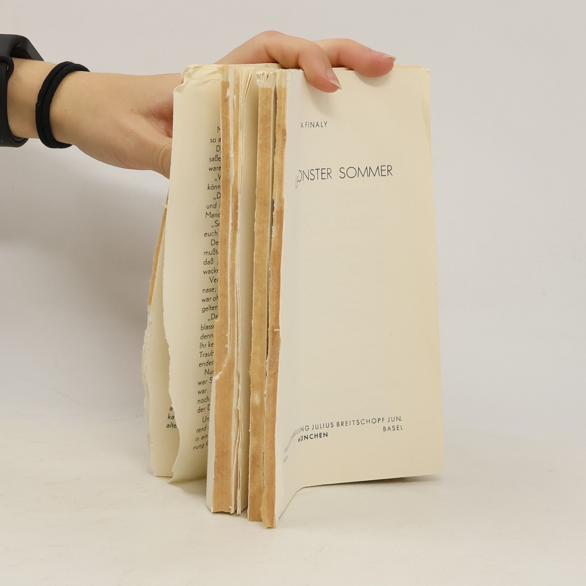 Dora Finaly Ursels schönster Sommer