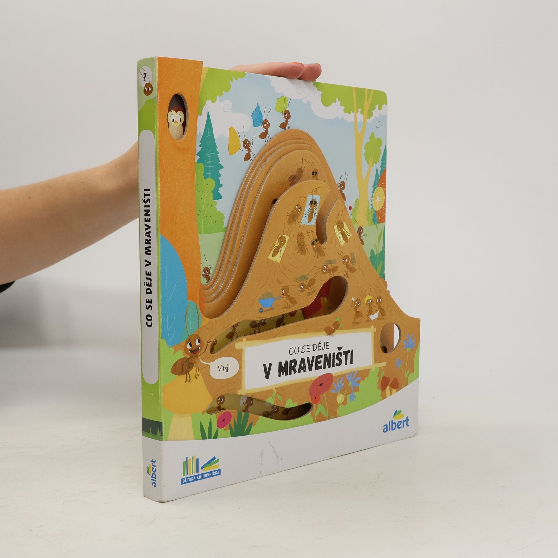 kolektiv Co se děje v mraveništi