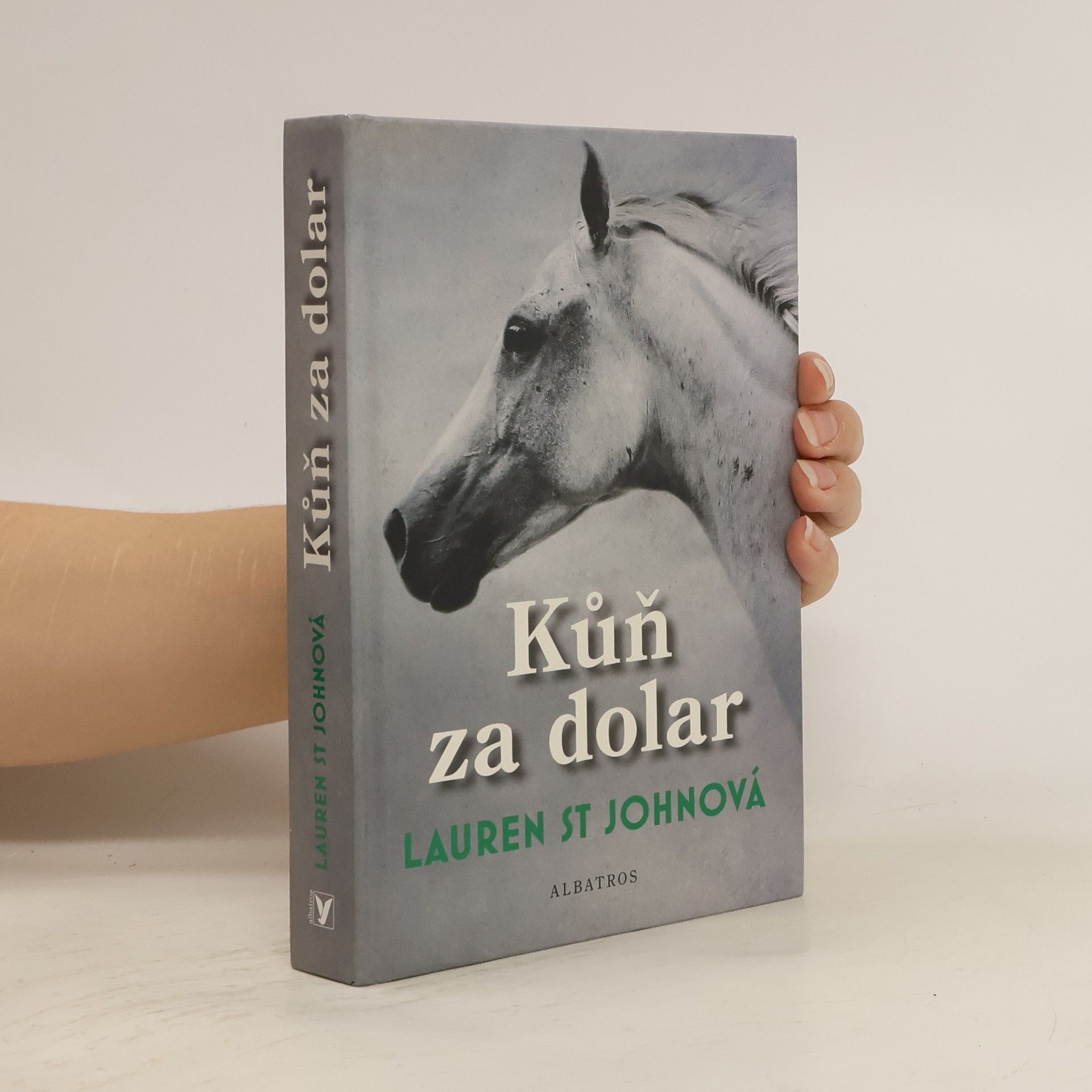 Lauren St. John Kůň za dolar