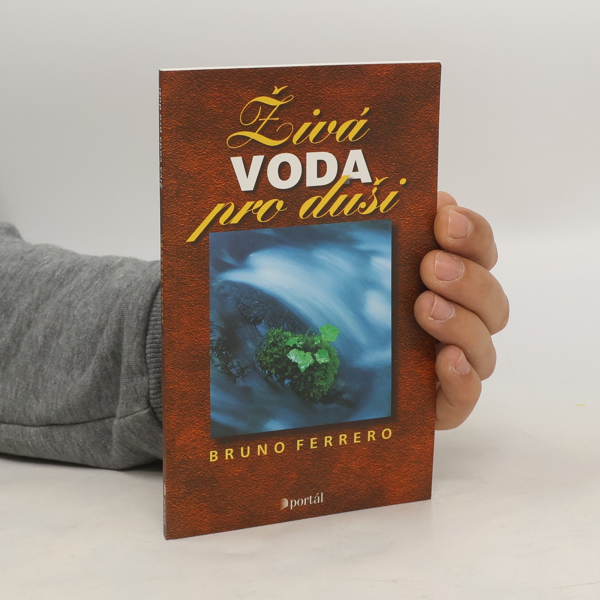 Bruno Ferrero Živá voda pro duši