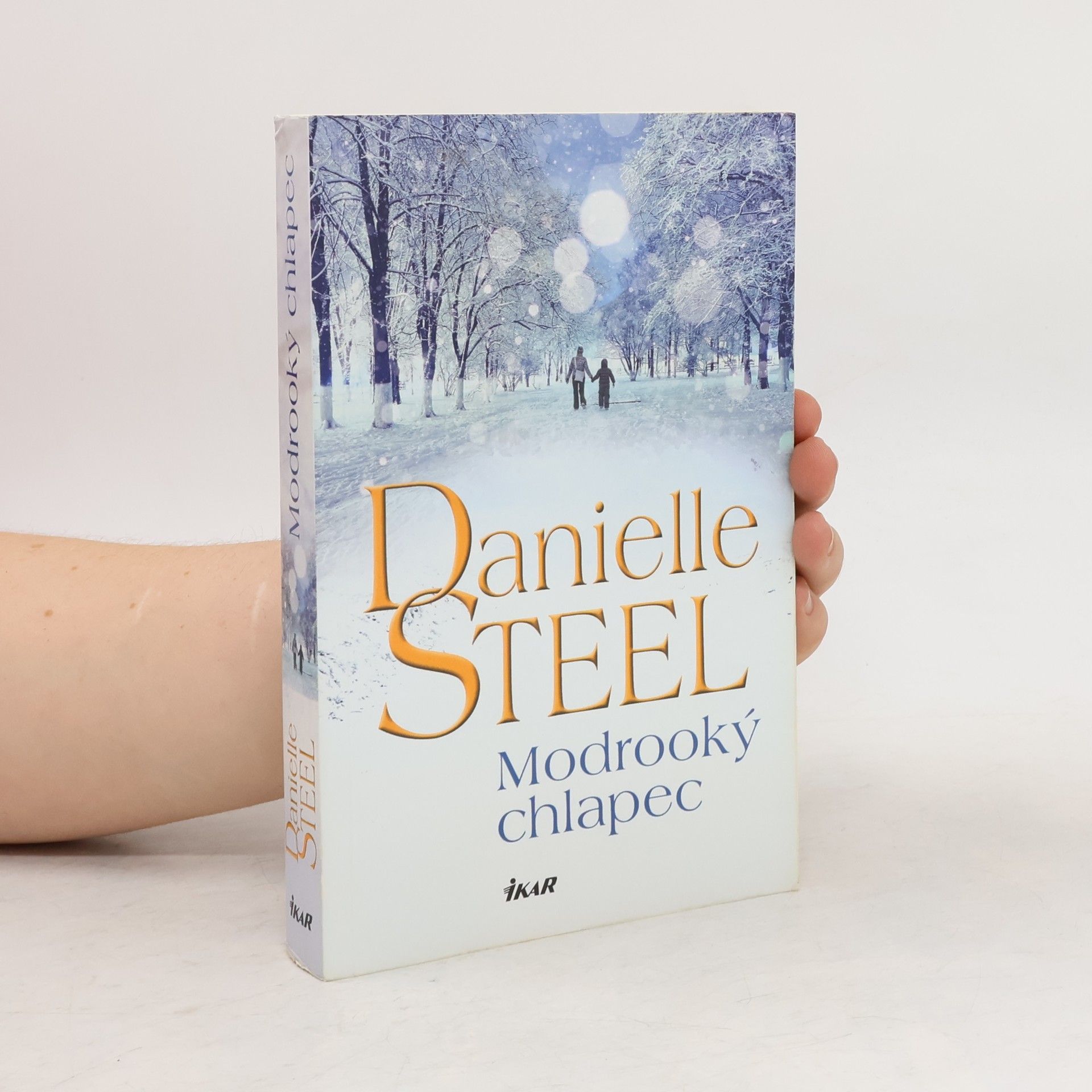 Danielle Steel Modrooký chlapec