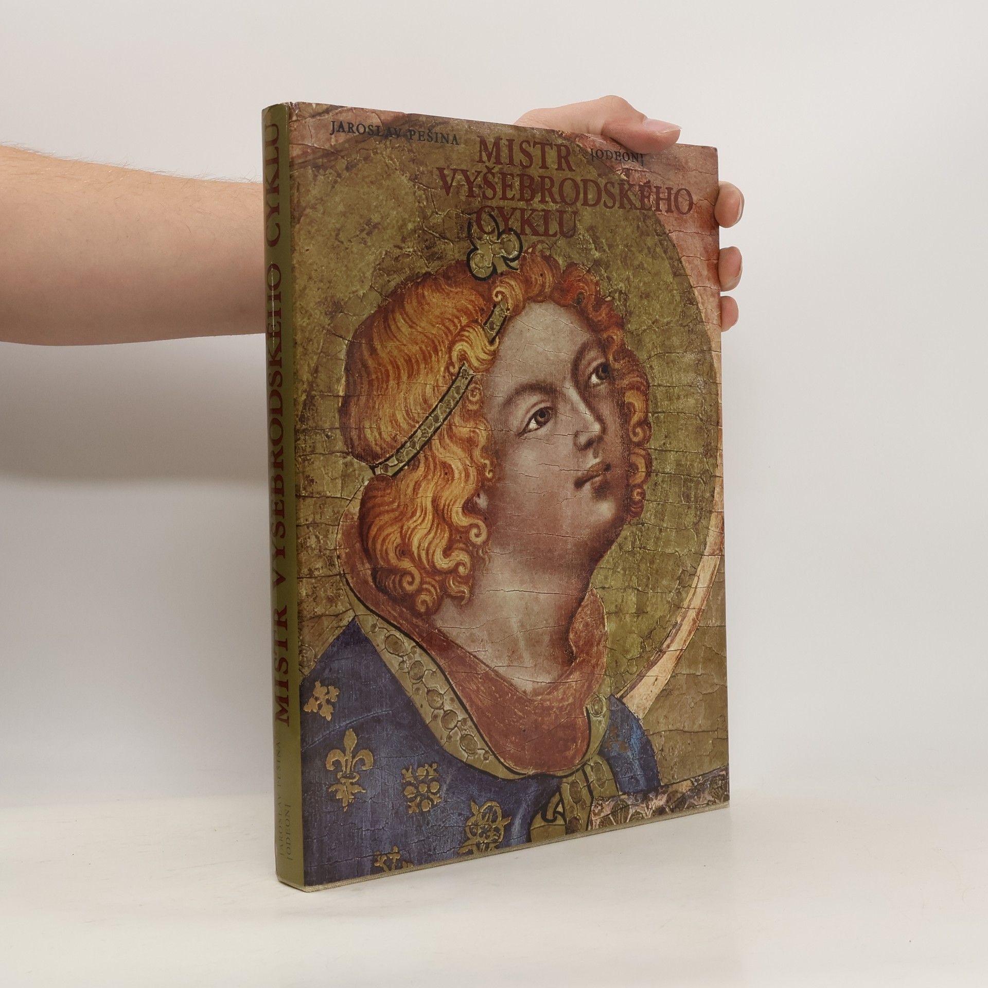 Mistr Vyšebrodského cyklu