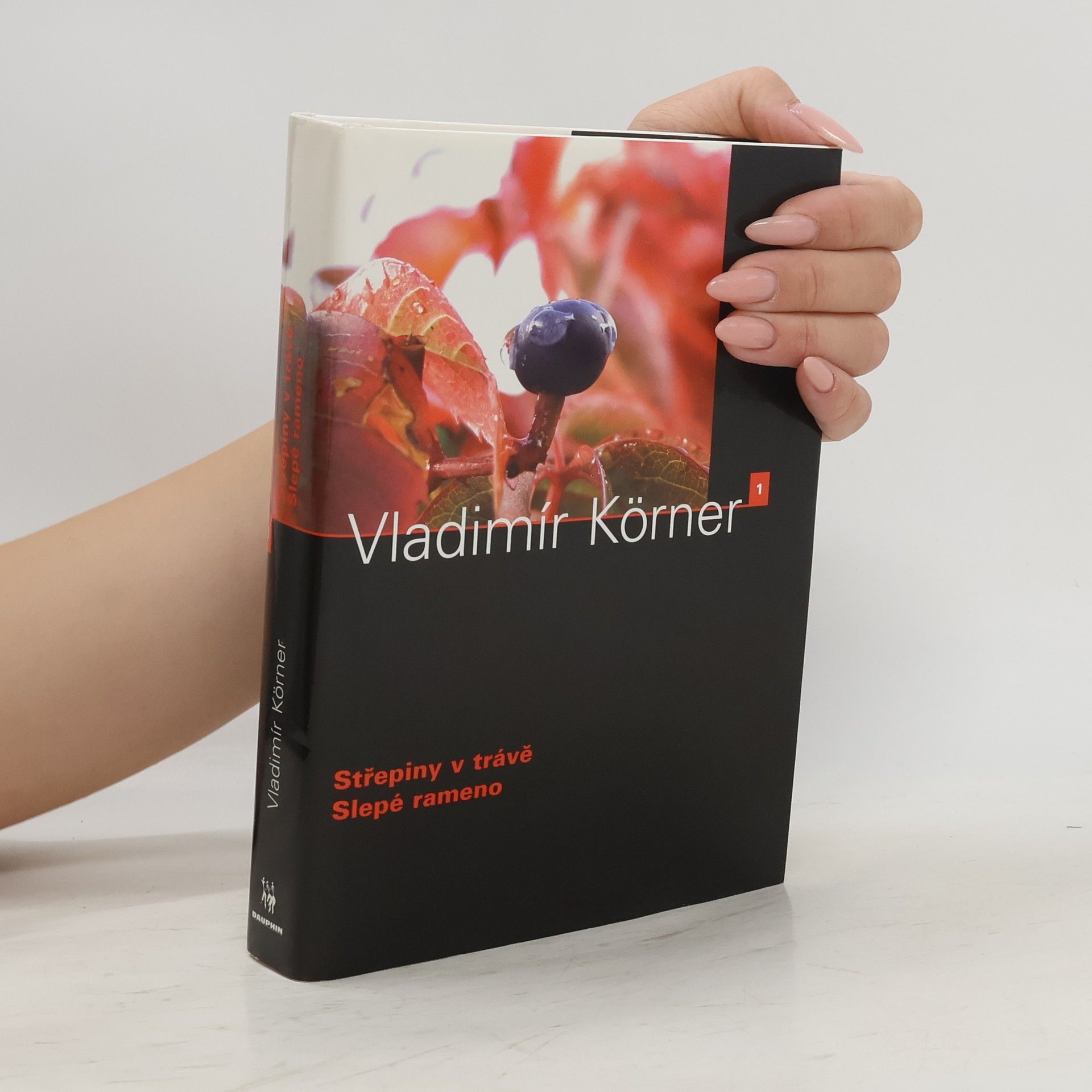 Střepiny v trávě / Slepé rameno